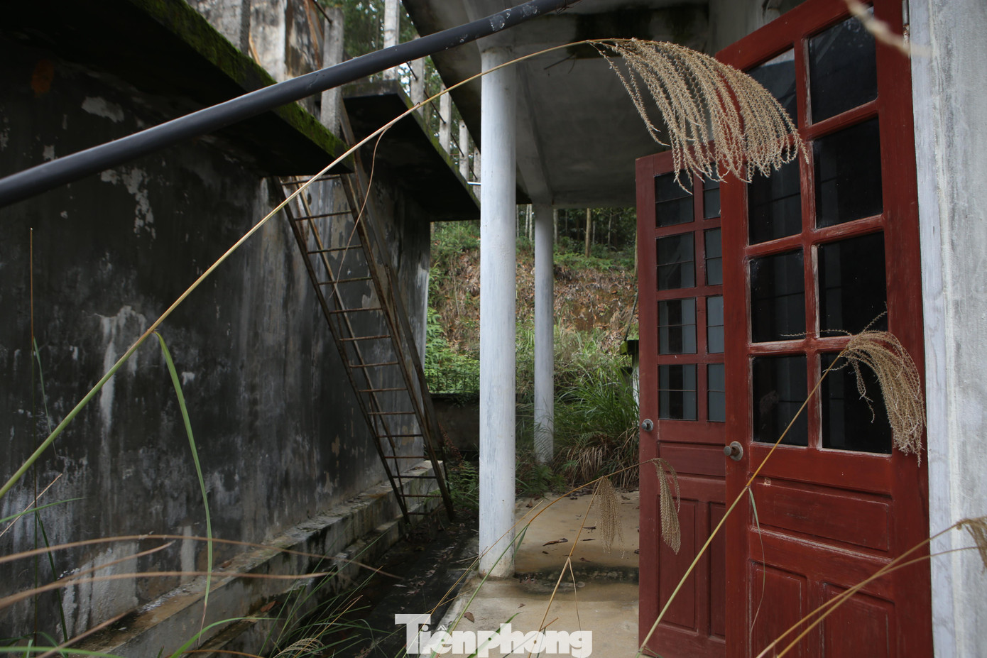 Theo ghi nhận của PV Tiền Phong, nhà máy nước bỏ hoang 10 năm khiến nhiều hạng mục xuống cấp, cây cối mọc um tùm, nhà điều hành nhếch nhác...