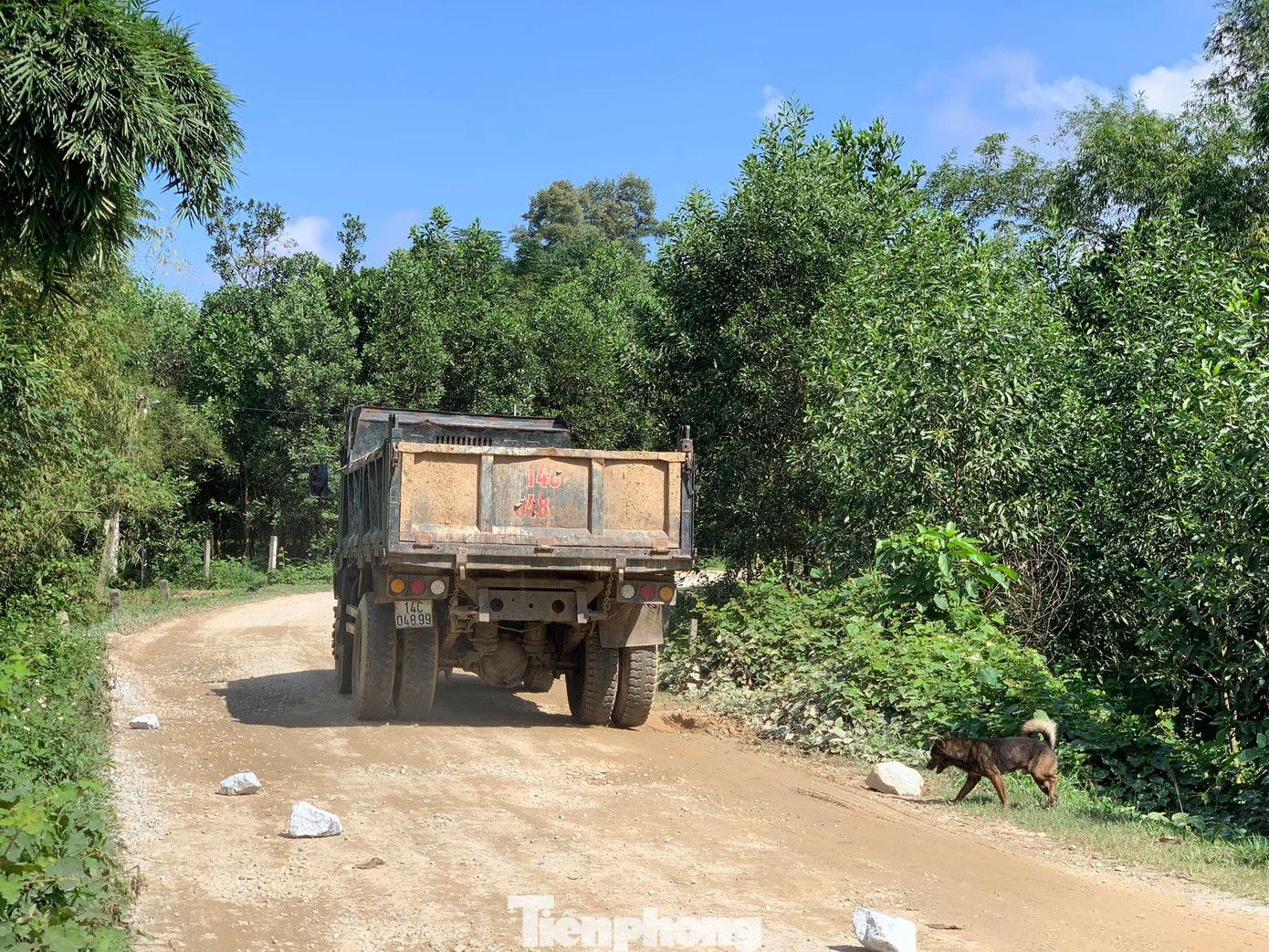 Đá rơi giữa đường...