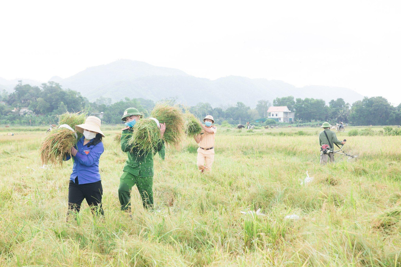 Với phương châm “xanh nhà hơn già đồng”, cùng sự giúp đỡ của các lực lượng công an, quân sự, đoàn thanh niên… đã giúp người dân, hạn chế tối đa thiệt hại do mưa lũ gây ra.