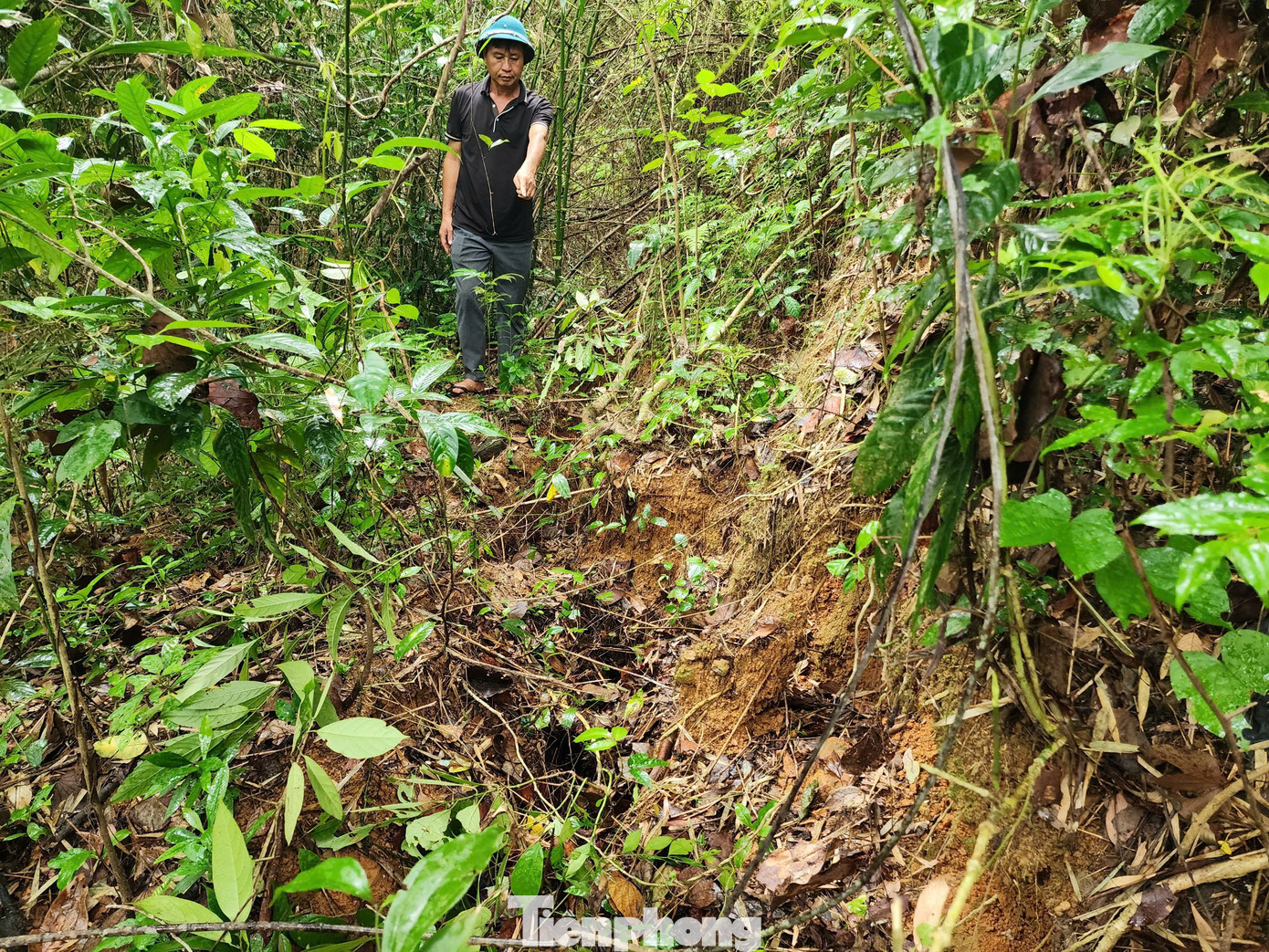 Người dân lo lắng khi nhiều vết nứt ngày càng lan rộng trên núi Rú Dầu. Người dân lo lắng khi nhiều vết nứt ngày càng lan rộng trên núi Rú Dầu.
