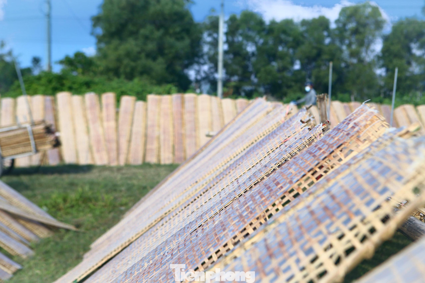 Khi phơi được khoảng 3 tiếng, người dân thu gom những tấm phên tráng bánh để đưa về nhà cắt.