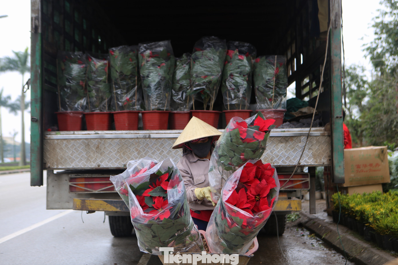 Với họ những ngày cuối năm vui khi có việc là thêm nguồn thu nhập trang trải cuộc sống, mua sắm vật dụng, đồ ăn chuẩn bị Tết...