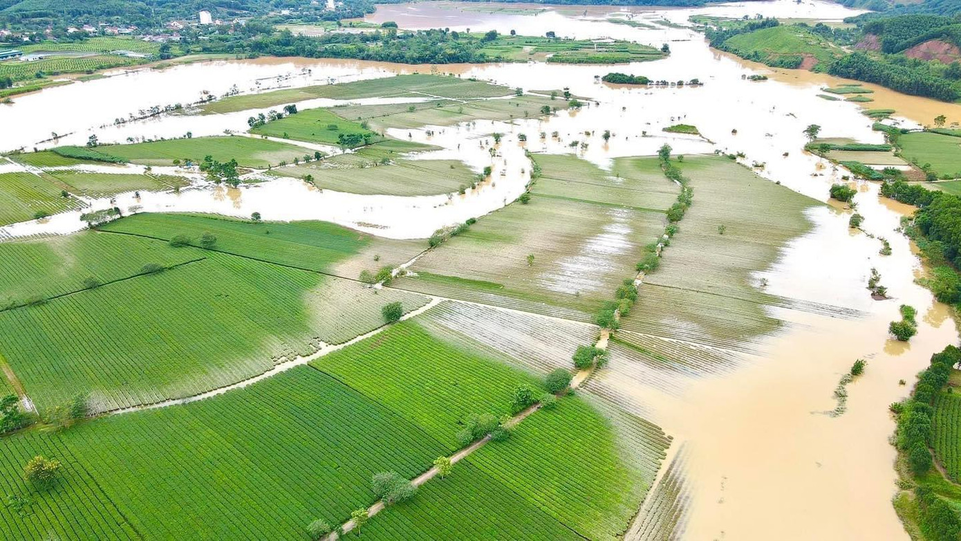 Khu vực đồi chè xã Sơn Kim 1 (huyện Hương Sơn) dòng nước lũ bao vây, chính quyền địa phương đang thống kê thiệt hại.