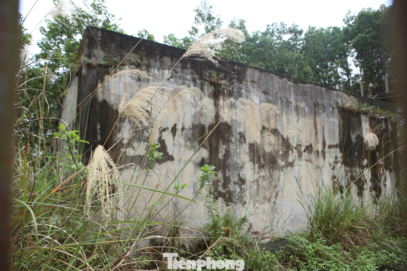 Hiện công trình nước sạch bỏ hoang này đang đề xuất thanh lý do không thể khắc phục để hoạt động trở lại. Ngoài ra để đáp ứng nhu cầu nước sạch cho bà con nhân dân, tỉnh đang cho khảo sát xây dựng nhà máy chung tại 3 xã Đức Lạng, Đức Đồng và Hoà Lạc.