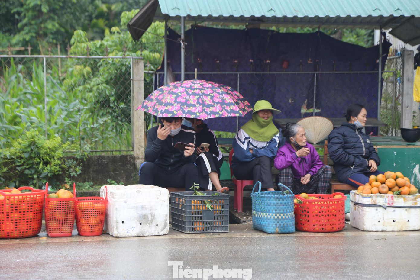 Mặc dù thời tiết có mưa, lạnh nhưng người dân vẫn tận dụng thời điểm sau Tết để bán cam nhằm kiếm thêm thu nhập và giá cả cao hơn so với những ngày thường.