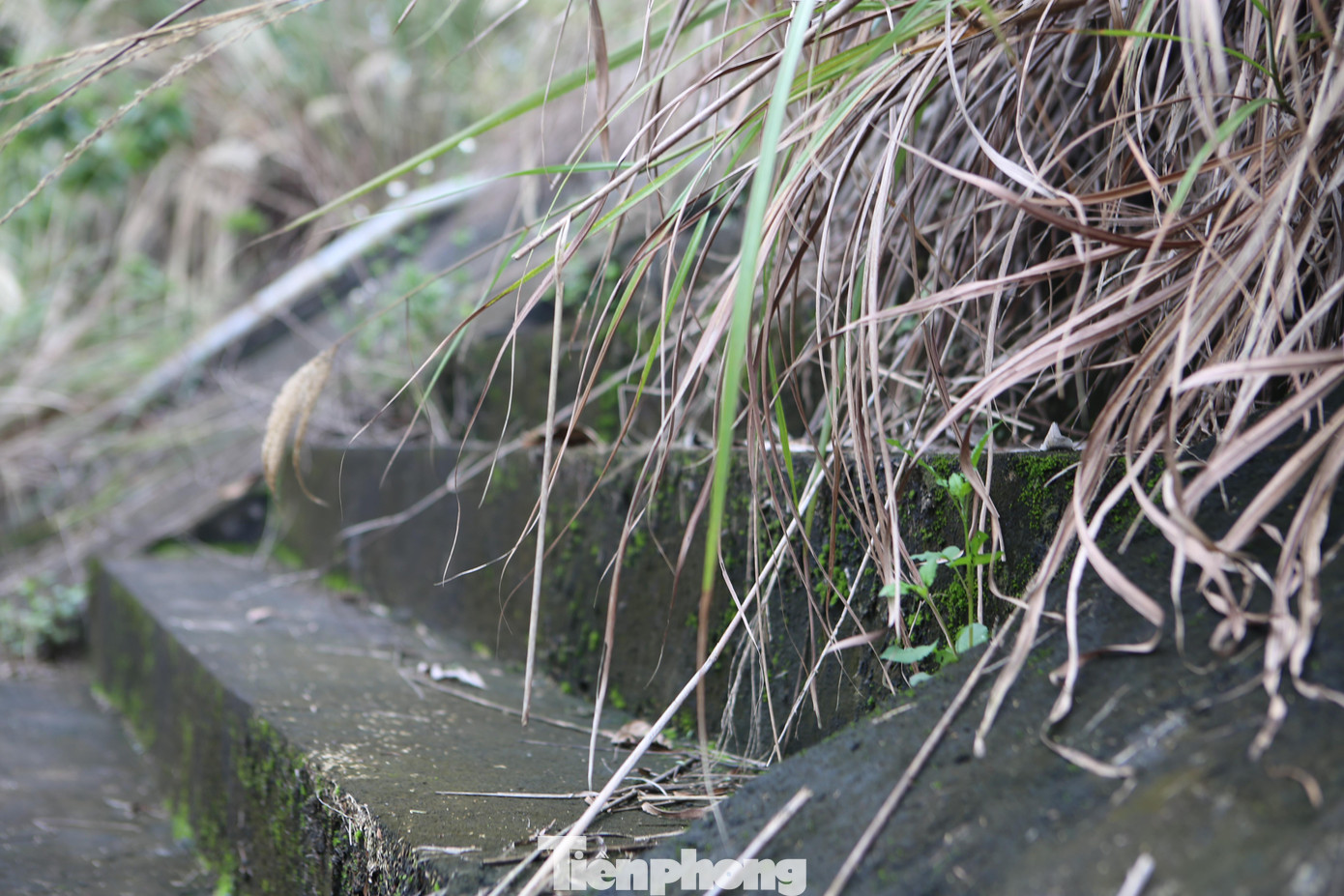 Hệ thống đường ống dẫn nước, hành lang vào khu nhà điều hành rêu phong phủ kín.