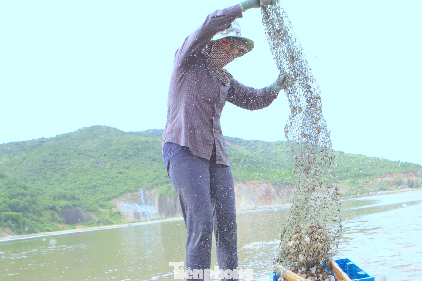 “Làm nghề này chủ yếu lấy công làm lãi rất vất vả. Tôi đi từ 5h sáng, cào được sò về nhà lại phải ngồi nhặt sạch rồi luộc lên để tách vỏ, làm luôn tay cả ngày. Mỗi khi làm xong, thương lái vào nhà lấy hoặc mang ra chợ bán” - bà Vân đang nhặt sò ở bãi biển Thạch Kim cho biết thêm. Sau khi cào xong, những con sò sẽ được đưa vào bờ đựng ở các bao tải rồi mới chở về nhà. Trong khi giá nhiên liệu cho các chuyến ra khơi tăng cao, nhiều ngư dân ở Hà Tĩnh buộc phải neo thuyền, đánh bắt các loại hải sản gần bờ kiếm thêm thu nhập. Mỗi ngày ngư dân có thể kiếm được từ 200-500 ngàn đồng.