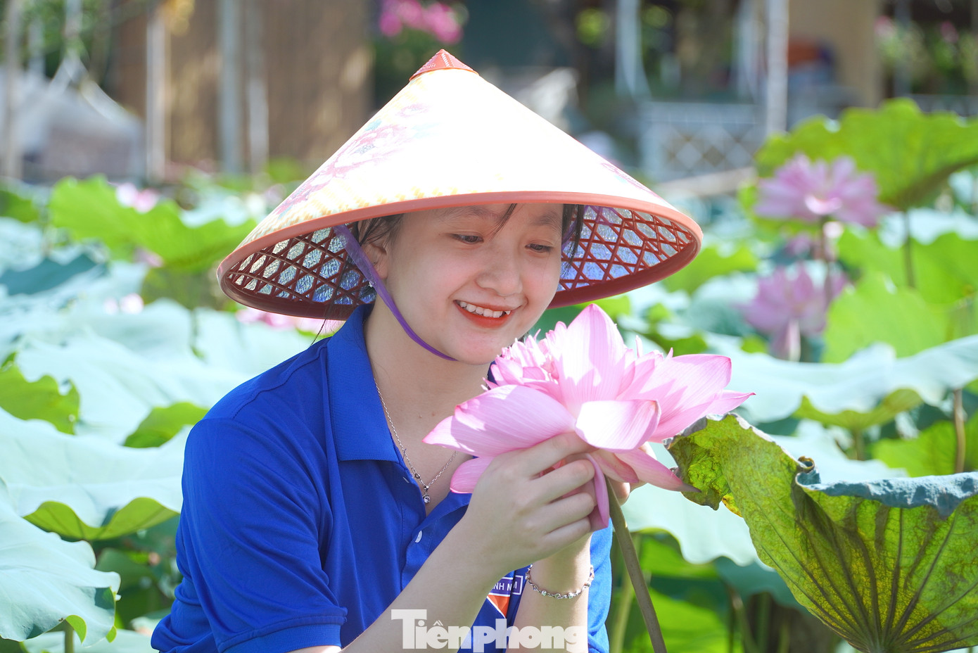 Mô hình sen thanh niên có 8 người tham gia, là những đoàn viên thanh niên trên địa bàn xã Thạch Linh. Đây cũng trở thành địa điểm check in thu hút đông đảo giới trẻ.