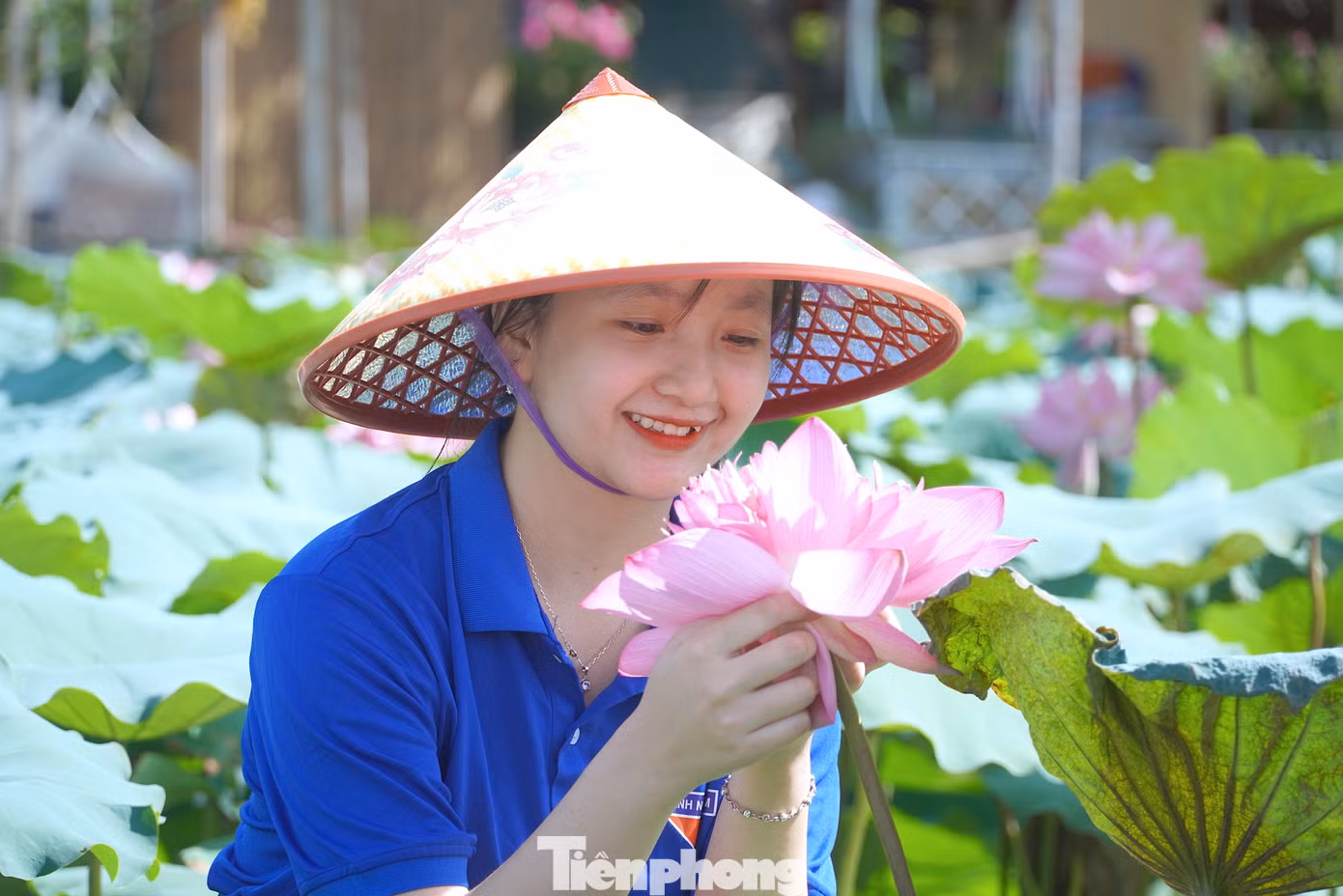 Mô hình sen thanh niên có 8 người tham gia, là những đoàn viên thanh niên trên địa bàn xã Thạch Linh. Đây cũng trở thành địa điểm check in thu hút đông đảo giới trẻ.