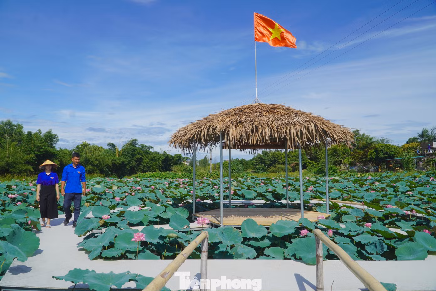 Tháng 8/2022, Đoàn phường Thạch Linh (thành phố Hà Tĩnh, tỉnh Hà Tĩnh) tổ chức thực hiện mô hình trồng sen chăn nuôi thuỷ sản cải tạo cảnh quan đô thị. Để triển khai mô hình này, các bạn thanh niên đã cải tạo hàng ngàn mét vuông đầm lầy tại thôn Tân Tiến, phường Thạch Linh trồng sen kết hợp mô hình nuôi thủy sản.
