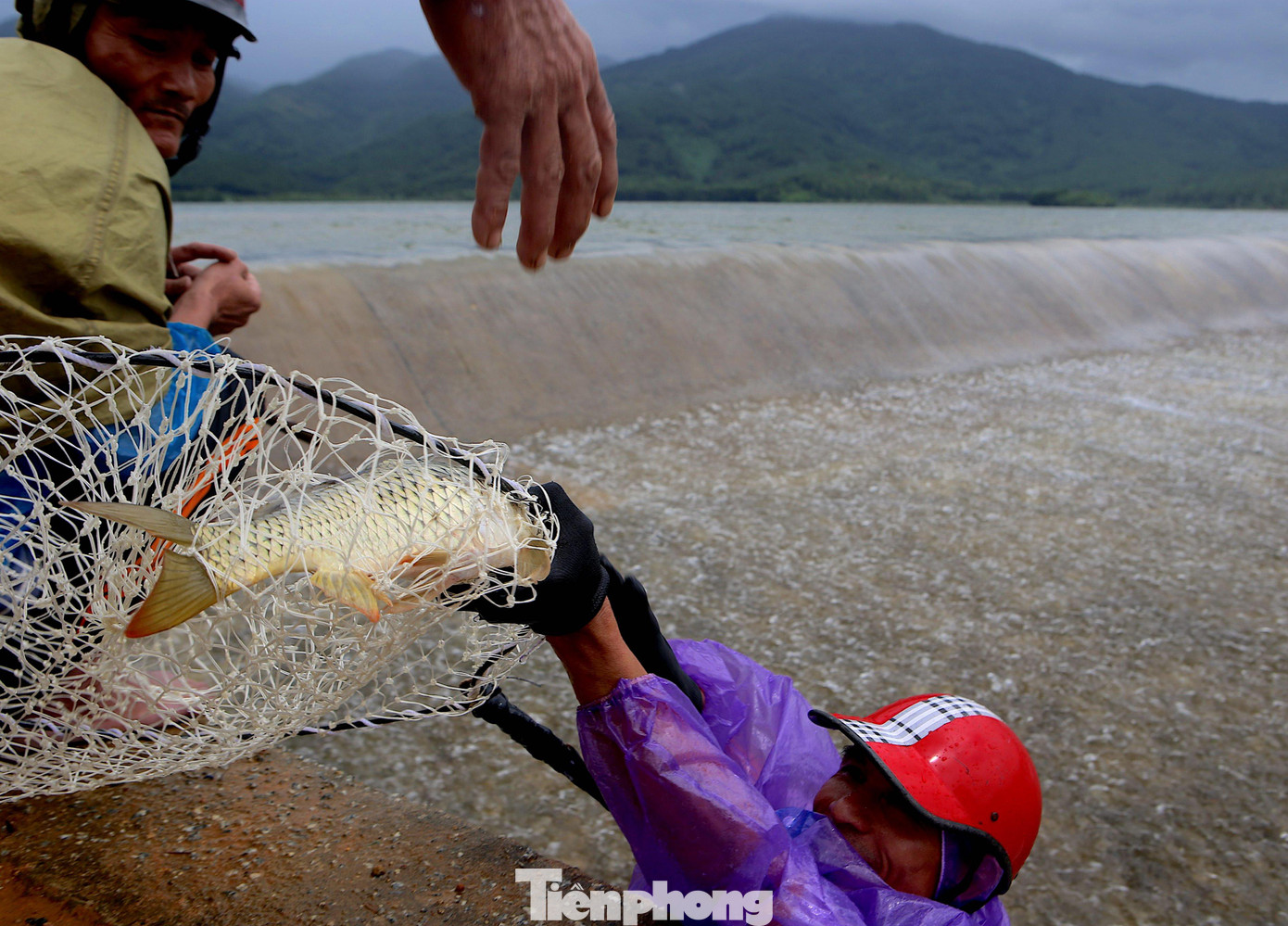 Như ngày hôm nay, khi biết tin đập tràn, người dân kéo nhau lên đập để bắt cá. Có những người bắt từ 7h – 11h thu về hàng chục kg cá.