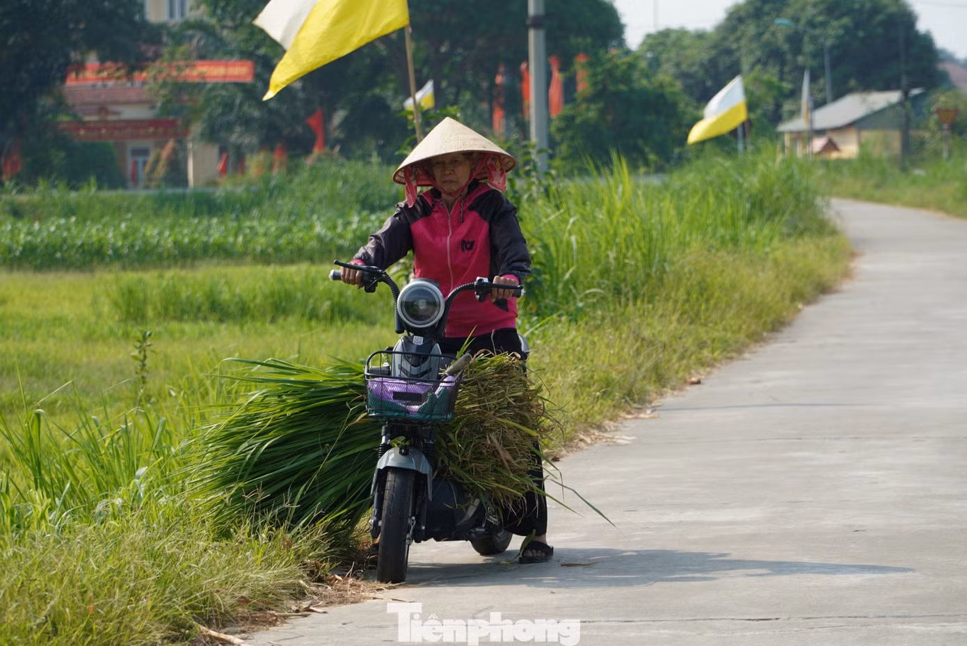 Trời gần trưa, nắng càng rát, hơi nóng phả từ mặt đường khiến không khí ngày càng ngột ngạt. Theo Trung tâm Khí tượng Thuỷ văn Hà Tĩnh, từ ngày mai nhiệt độ tiếp tục tăng, khu vực ven từ 37 - 39 độ C, có nơi cao hơn, riêng khu vực miền núi nhiệt độ sẽ tăng cao. Từ ngày 29 và 30/4 khả năng là đỉnh điểm khô nóng, nhiệt tăng cao nhất đợt này, gió tây nam thổi mạnh hơn từ 40-42 độ C.