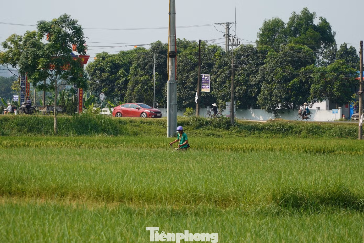 Hương Sơn những ngày này được xem là “chảo lửa” khi nền nhiệt tăng cao khiến người nông dân vật vã làm việc giữa thời tiết oi bức.