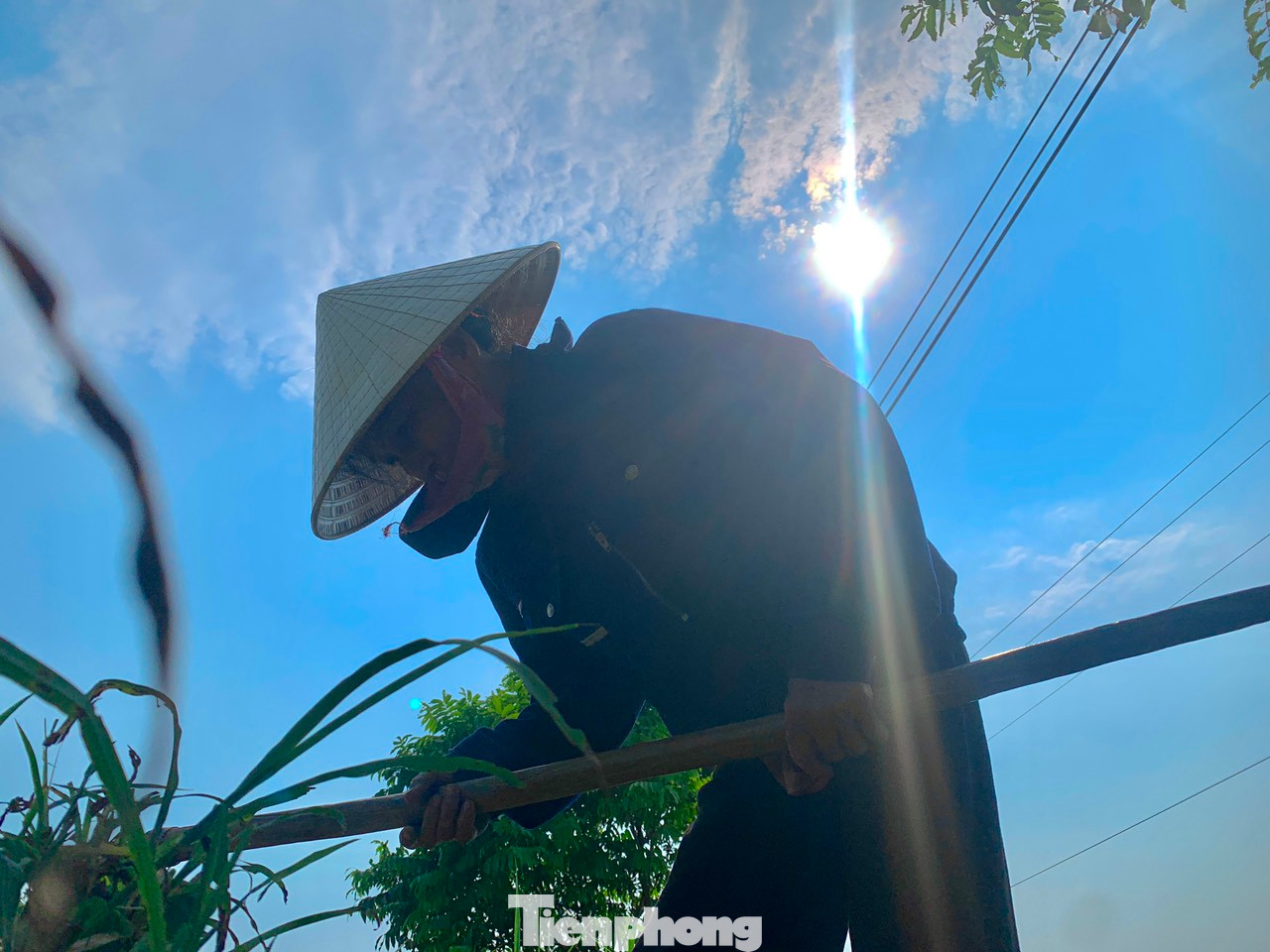 Từ 9h đến 11h tại Hà Tĩnh, nền nhiệt ngoài trời đo được vượt ngưỡng 40 độ C. Người nông dân phải tìm mọi cách chống chọi, thích nghi với nắng nóng, vất vả mưu sinh trong điều kiện thời tiết khắc nghiệt. Từ 9h đến 11h tại Hà Tĩnh, nền nhiệt ngoài trời đo được vượt ngưỡng 40 độ C. Người nông dân phải tìm mọi cách chống chọi, thích nghi với nắng nóng, vất vả mưu sinh trong điều kiện thời tiết khắc nghiệt.