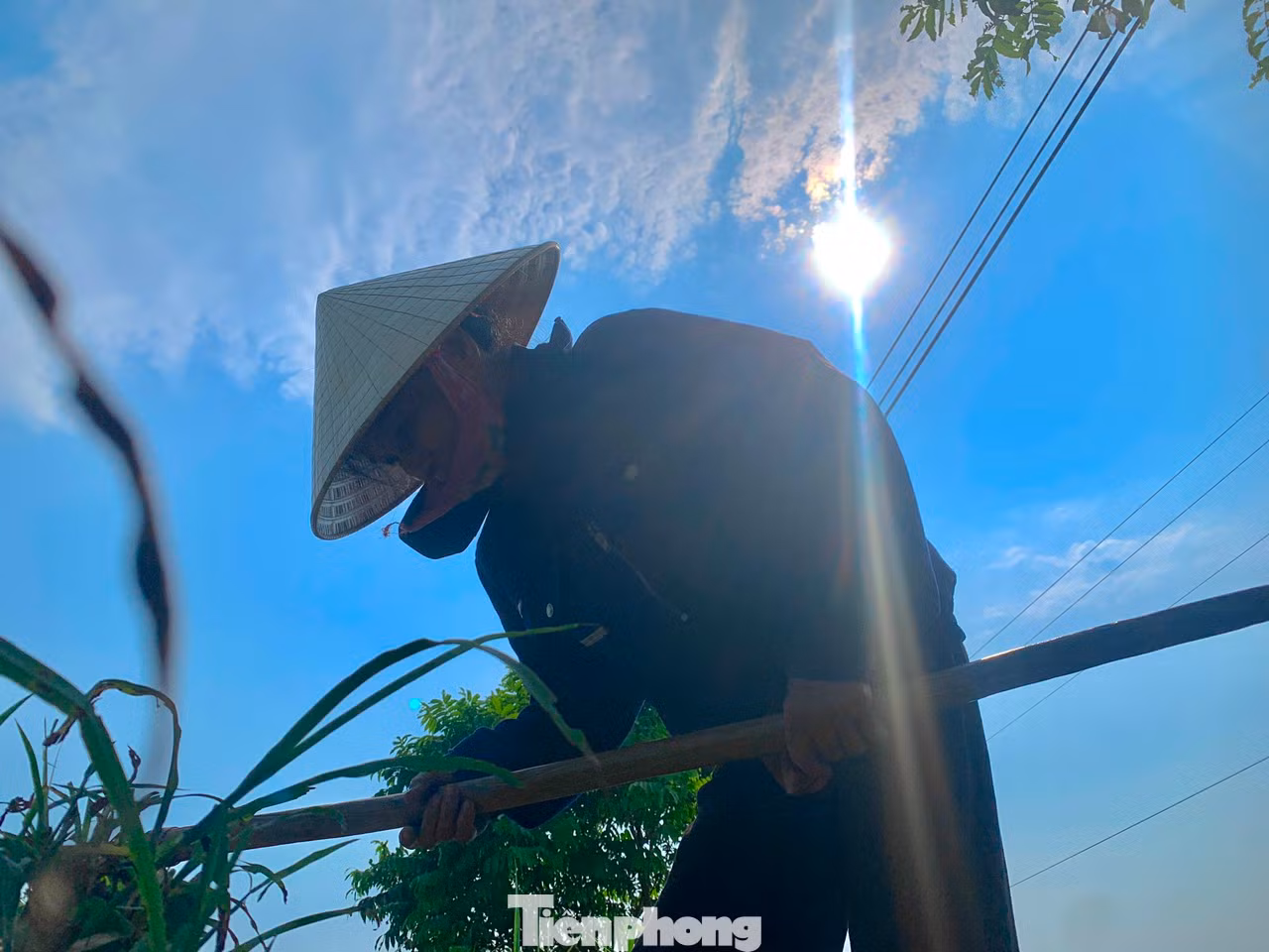 Từ 9h đến 11h tại Hà Tĩnh, nền nhiệt ngoài trời đo được vượt ngưỡng 40 độ C. Người nông dân phải tìm mọi cách chống chọi, thích nghi với nắng nóng, vất vả mưu sinh trong điều kiện thời tiết khắc nghiệt.