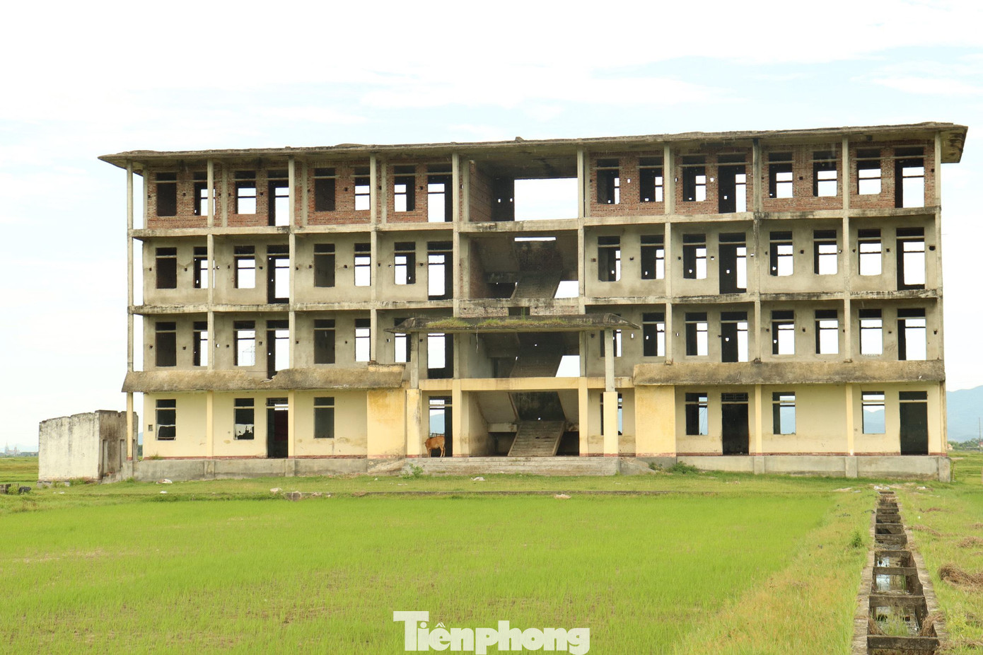 Theo ghi nhận, dãy nhà được xây dựng gồm 4 tầng, có tổng cộng 16 phòng học.