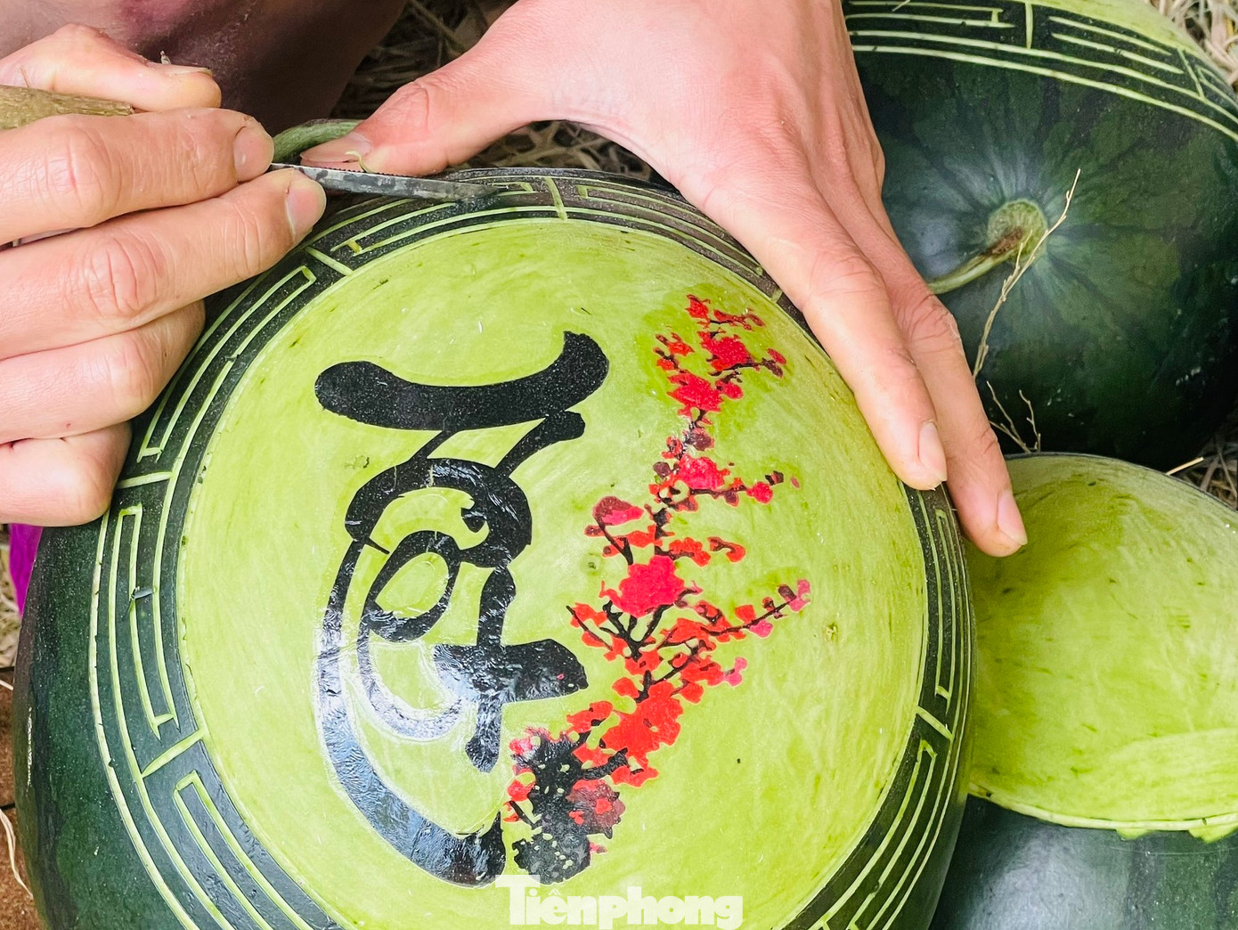 “Nhiều năm qua nhu cầu người dân mua dưa hấu điêu khắc để làm quà chưng Tết tăng cao nên năm nay tôi làm hơn 200 quả để phục vụ thị trường. Hiện tại dưa hấu đã được người dân đặt rất nhiều, tôi phải làm cả ngày đến đêm để kịp hàng giao cho khách”, anh Thiết nói.