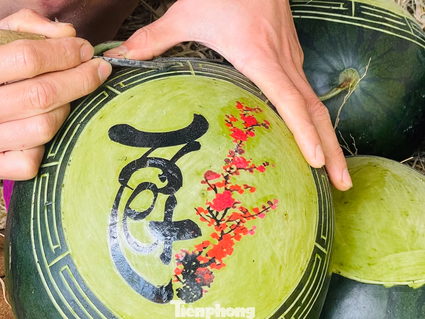 “Nhiều năm qua nhu cầu người dân mua dưa hấu điêu khắc để làm quà chưng Tết tăng cao nên năm nay tôi làm hơn 200 quả để phục vụ thị trường. Hiện tại dưa hấu đã được người dân đặt rất nhiều, tôi phải làm cả ngày đến đêm để kịp hàng giao cho khách”, anh Thiết nói.