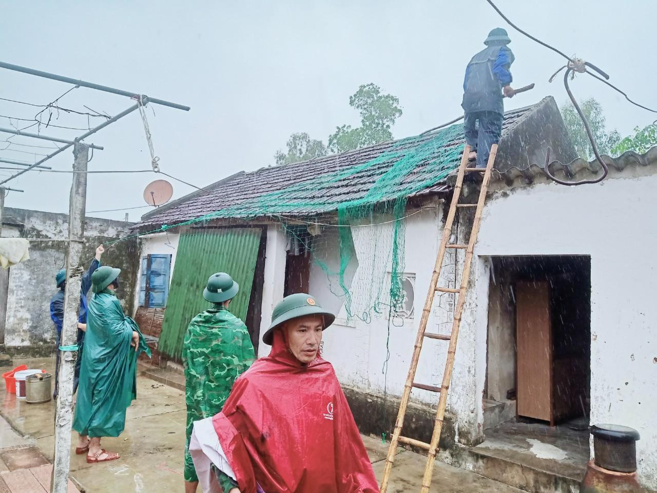 Tại các địa phương ven biển, người dân gia cố lại nhà cửa, chặt hạ cây cối để tránh thiệt hại khi bão đổ bộ vào đất liền.