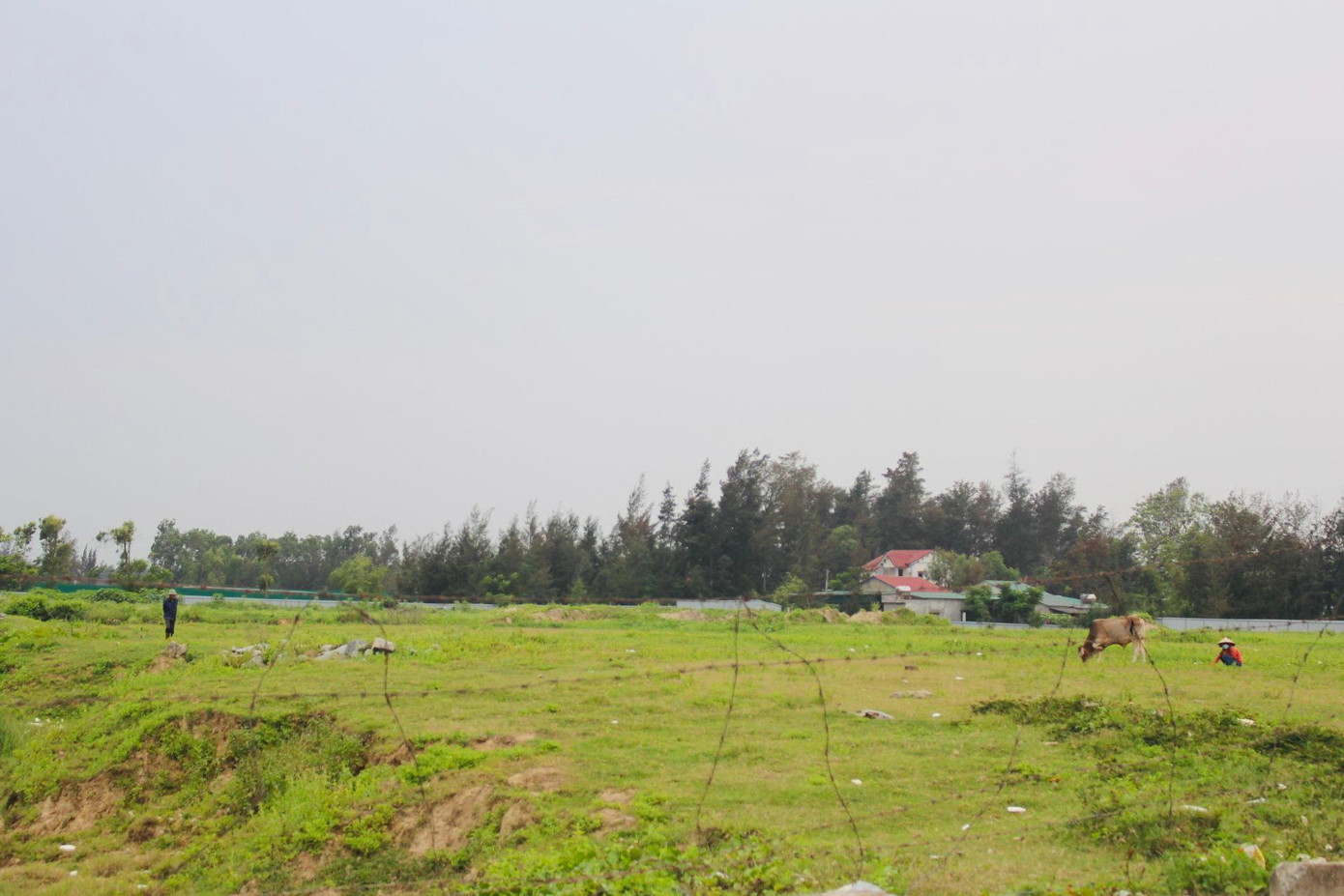 Dự án chỉ là bãi đất trống, dành nơi chăn thả trâu bò. Dự án chỉ là bãi đất trống, dành nơi chăn thả trâu bò.