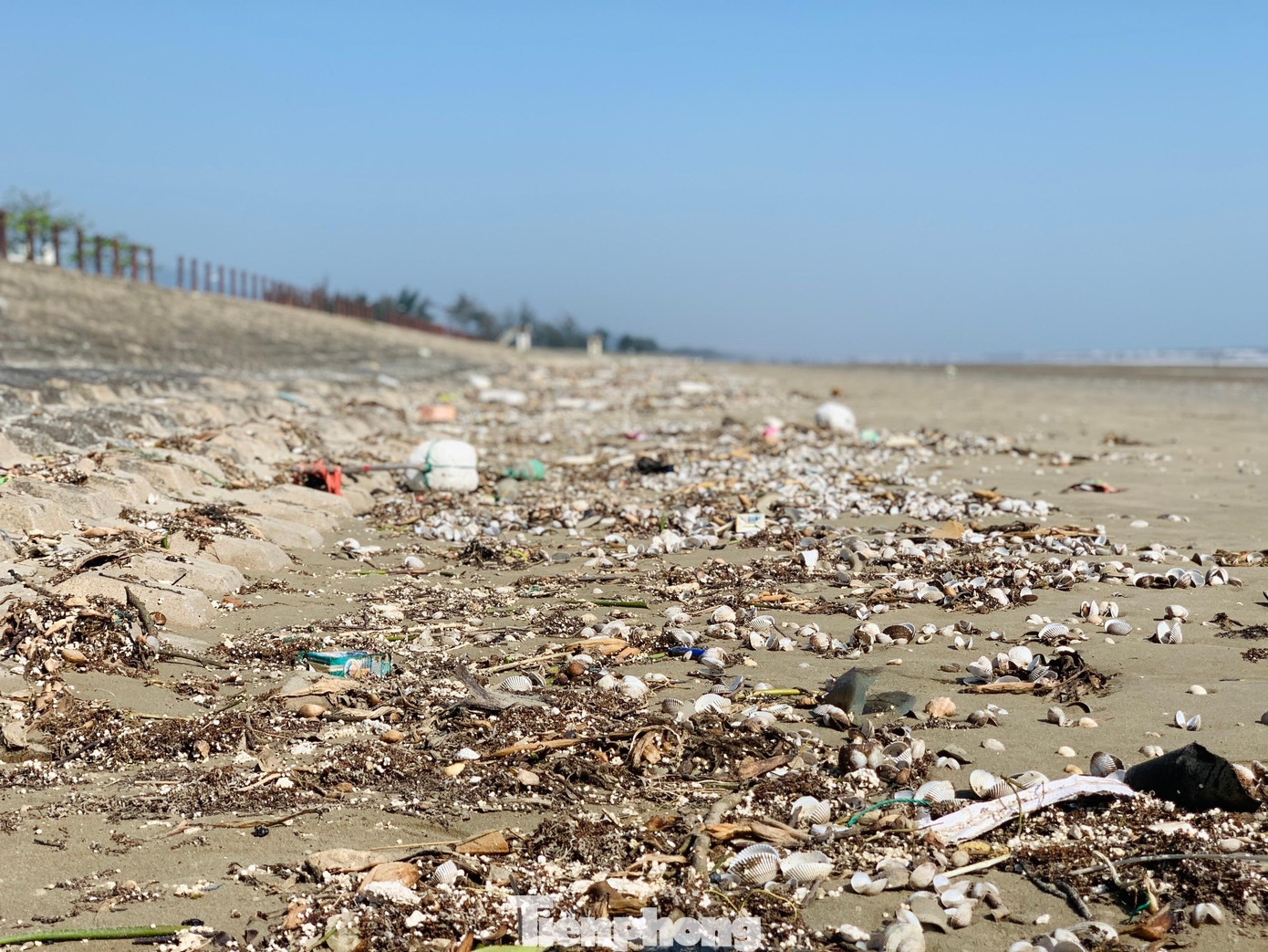 Ngày 5/4, ghi nhận tại dọc bờ biển từ xã Thạch Kim đến bãi biển Xuân Hải (thị trấn Lộc Hà, tỉnh Hà Tĩnh), mặc dù đã cận kề mùa du lịch biển, nhưng dọc bờ rác thải tràn ngập gây ô nhiễm, mất mỹ quan.