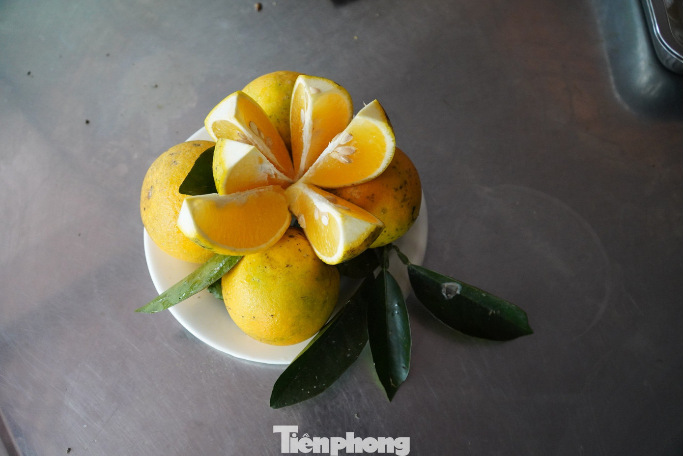 Bên cạnh trồng cây theo phương pháp sinh thái hữu cơ, anh Bảo cũng tích cực xây dựng thương hiệu cam của mình. Bên cạnh trồng cây theo phương pháp sinh thái hữu cơ, anh Bảo cũng tích cực xây dựng thương hiệu cam của mình.