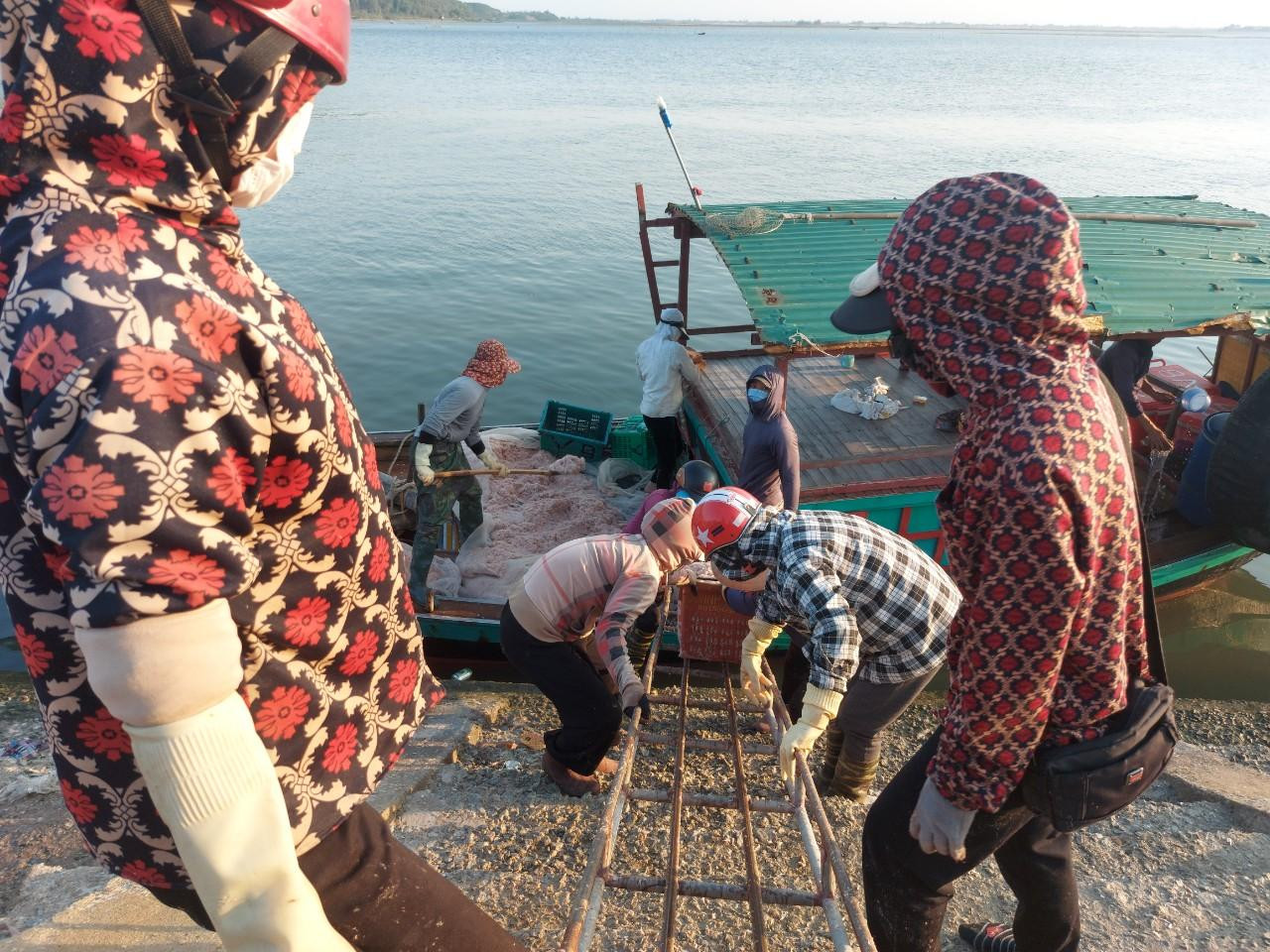 Ngư dân hối hả đưa ruốc từ thuyền lên bờ để bán cho thương lái. Ngư dân hối hả đưa ruốc từ thuyền lên bờ để bán cho thương lái.