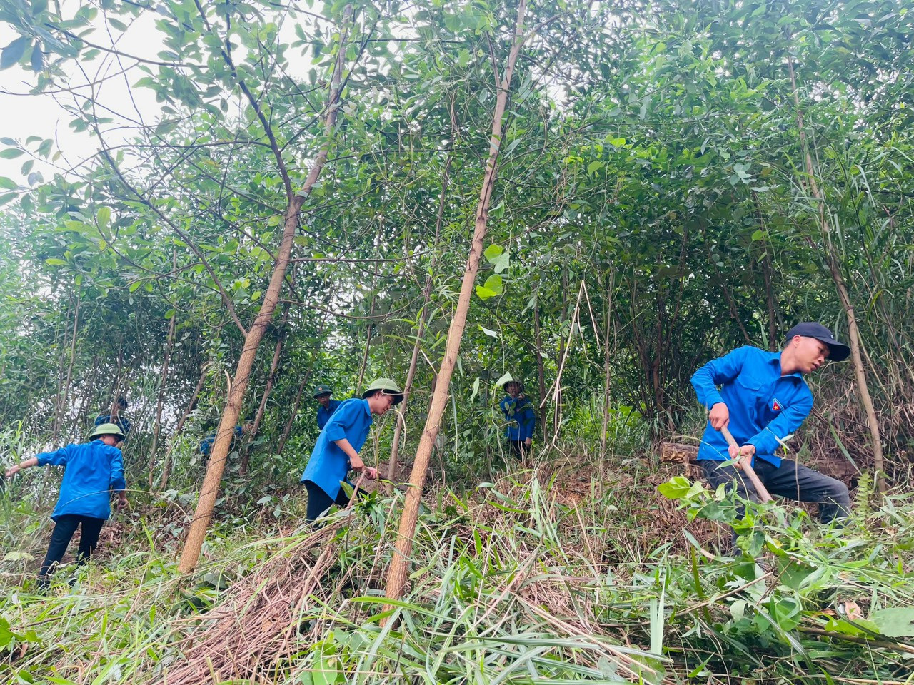 Tại vị trí cột 208, lực lượng thanh niên thu dọn cây cối, nhằm hỗ trợ giải phóng mặt bằng bàn giao cho đơn vị thi công. Tại vị trí cột 208, lực lượng thanh niên thu dọn cây cối, nhằm hỗ trợ giải phóng mặt bằng bàn giao cho đơn vị thi công.