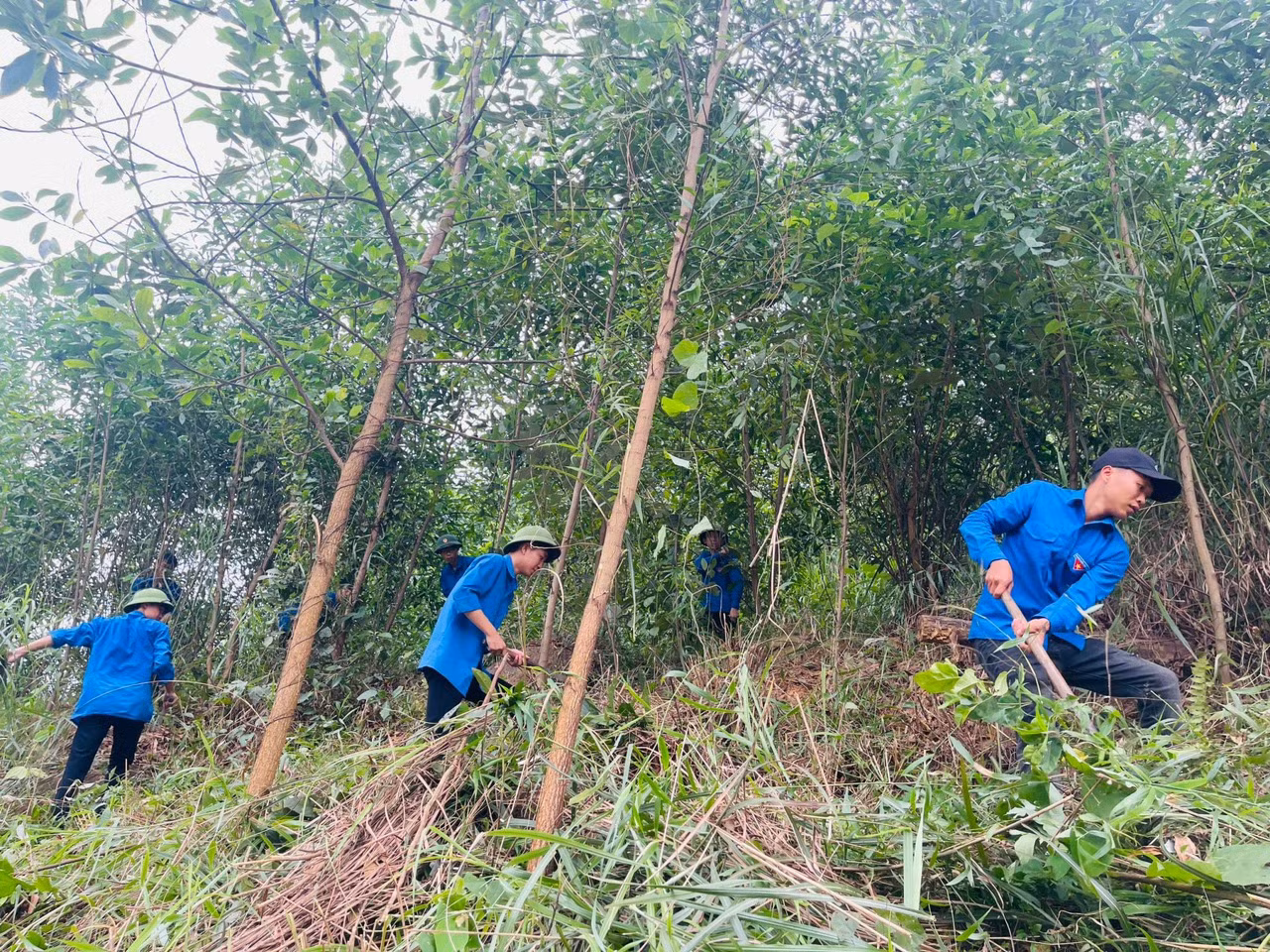 Tại vị trí cột 208, lực lượng thanh niên thu dọn cây cối, nhằm hỗ trợ giải phóng mặt bằng bàn giao cho đơn vị thi công.