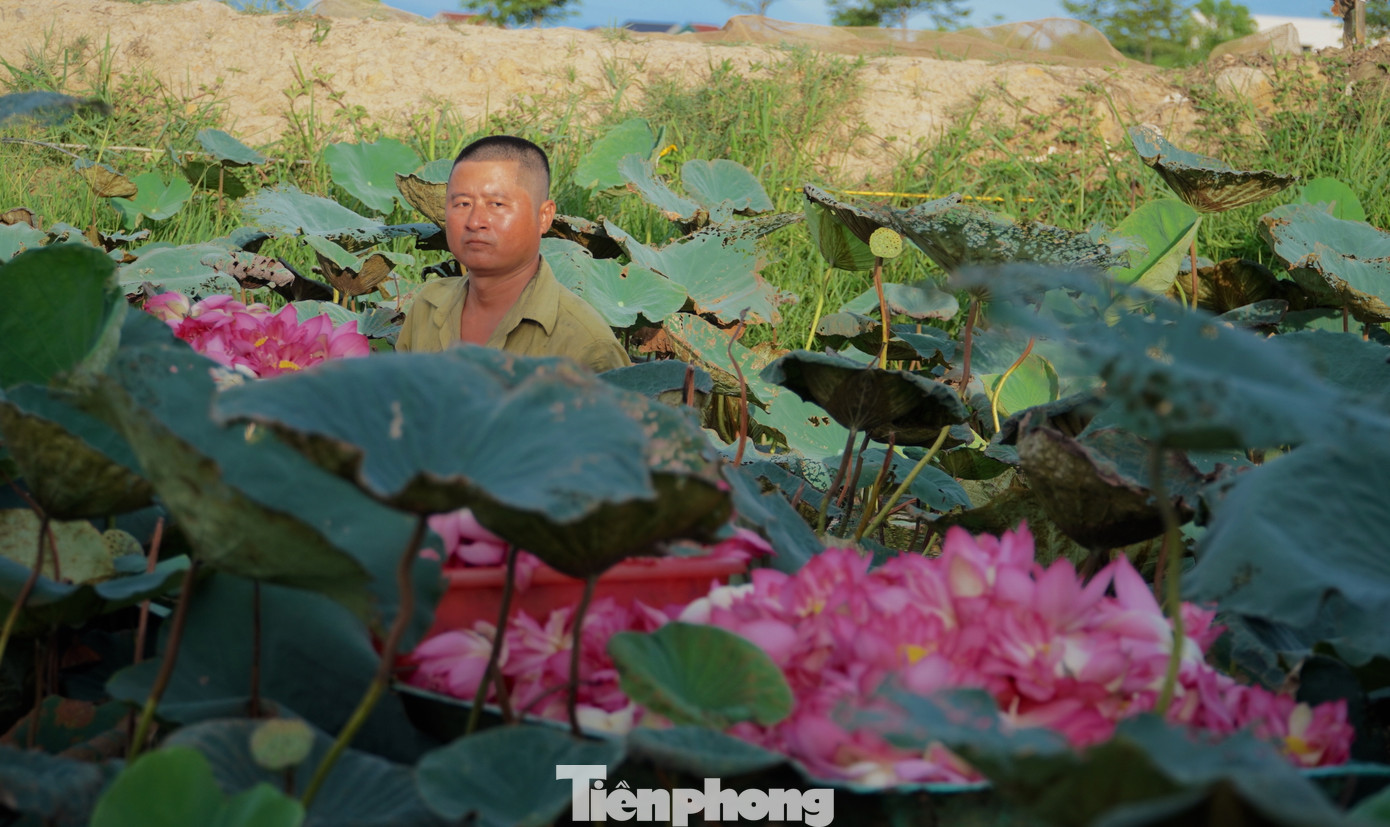 Mùa sen ở Hà Tĩnh bắt đầu từ tháng 3 Âm lịch, kéo dài đến hết tháng 7. Mùa sen ở Hà Tĩnh bắt đầu từ tháng 3 Âm lịch, kéo dài đến hết tháng 7.