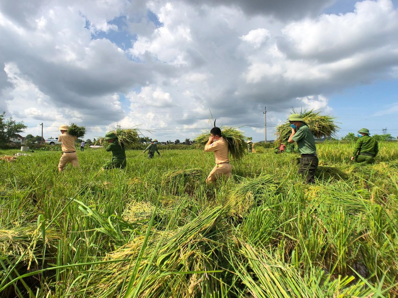 Các chiến sĩ Công an huyện Đức Thọ xuống đồng giúp dân thu hoạch lúa. Với phương châm “xanh nhà hơn già đồng”, cùng sự giúp đỡ của các lực lượng công an, quân sự, đoàn thanh niên… đã giúp người dân, hạn chế tối đa thiệt hại do mưa lũ gây ra. Để giảm thiệt hại do bão Côn Sơn có thể gây ra, Tỉnh Đoàn Thanh Hoá đã huy động đoàn viên thanh niên trên địa bàn khẩn trương tình nguyện giúp nhân dân thu hoạch , vận chuyển lúa. Dự báo bão Côn Sơn sẽ ảnh hưởng đến địa bàn tỉnh Thanh Hoá, trong khi dịch COVID-19 vẫn còn diễn biến phức tạp, một số địa phương trên địa bàn tỉnh đang thực hiện giãn cách xã hội theo Chỉ thị 16 khiến việc huy động lực lượng tập trung thu hoạch lúa của người dân gặp nhiều khó khăn. Tỉnh đoàn Thanh Hoá đã chỉ đạo các cơ sở Đoàn tùy theo điều kiện thực tế huy động lực lượng đoànviên thanh niên (ĐVTN) tại chỗ, khẩn trương giúp dân thu hoạch lúa hè-thu. Trong 2 ngày 9-10/9/2021, toàn tỉnh ra quân 62 đội hình thanh niên phản ứng nhanh với sự tham gia của gần 1.000 ĐVTN, giúp nhân dân thu hoạch lúa mùa tại các huyện Như Thanh, Nông Cống, Vĩnh Lộc, Hậu Lộc, Hoằng Hoá, Hà Trung... Các đội hình được chia thành nhiều nhóm nhỏ tham gia hỗ trợ các gia đình khó khăn về lực lượng lao động, các hộ có người cách ly, hộ gia đình người già, người neo đơn trên địa bàn. Bí thư Tỉnh Đoàn Thanh Hoá Lê Văn Châu động viên, tặng quà cho các đội thanh niên tình nguyện hỗ trợ nhân dân gặt lúa.