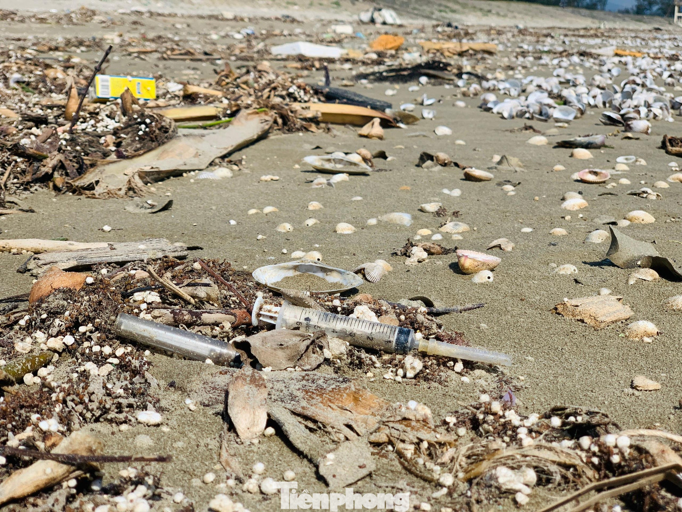 Các loại kim tiêm trên bãi biển.