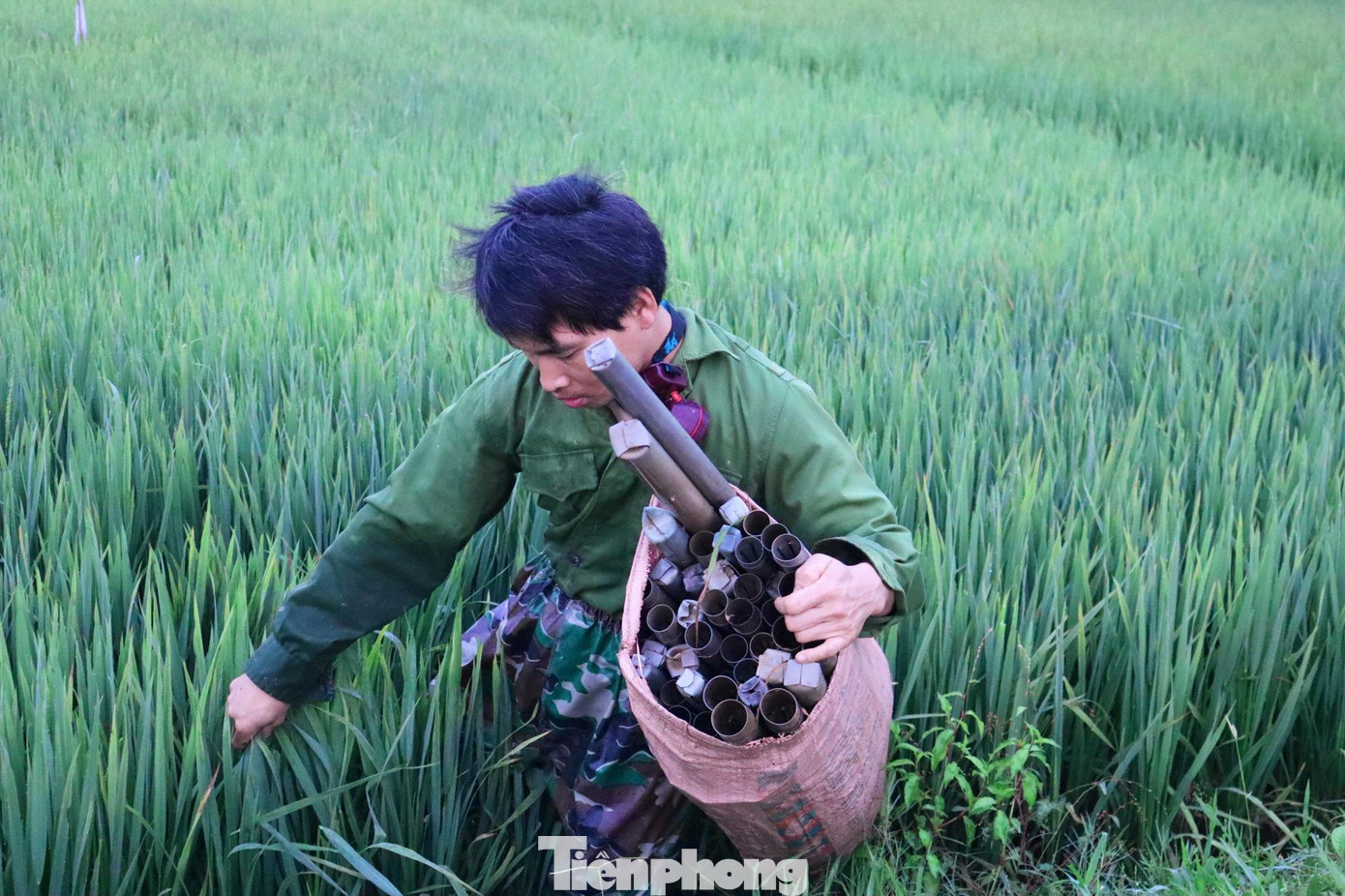 Ngoài anh Đồng thì tại cánh đồng ruộng ở xã Thạch Văn, huyện Thạch Hà, tỉnh Hà Tĩnh có tới 3-4 người cùng thả trúm. Mỗi người sẽ chọn cho mình một thửa ruộng khác nhau để tránh bị nhầm lẫn. Ngoài anh Đồng thì tại cánh đồng ruộng ở xã Thạch Văn, huyện Thạch Hà, tỉnh Hà Tĩnh có tới 3-4 người cùng thả trúm. Mỗi người sẽ chọn cho mình một thửa ruộng khác nhau để tránh bị nhầm lẫn.