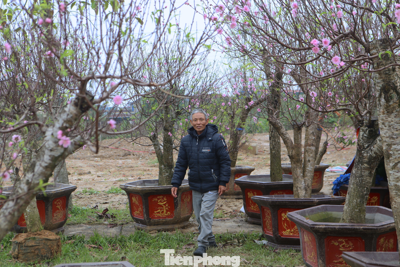 Theo những người bán hoa, cây cảnh, do thời tiết lạnh buốt nên nhiều người ngại ra đường, vì thế không khí tại đây cũng trầm lắng.