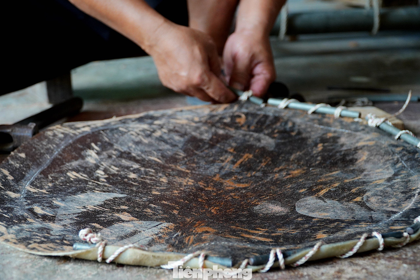 Còn phần Tang trống được làm bằng gỗ mít khô và xẻ cong. Mỗi cây gỗ được chia làm nhiều dăm khác nhau. Sau đó, thợ làm trống sẽ làm cho các dăm được gắn kết lại với nhau, tạo thành một chiếc trống kín, khít và tròn. Còn phần Tang trống được làm bằng gỗ mít khô và xẻ cong. Mỗi cây gỗ được chia làm nhiều dăm khác nhau. Sau đó, thợ làm trống sẽ làm cho các dăm được gắn kết lại với nhau, tạo thành một chiếc trống kín, khít và tròn.