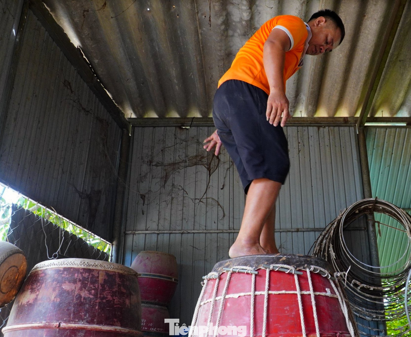 Khi da bò được căng trên tang trống, người thợ phải trèo lên trên, đôi bàn chân nhảy nhịp nhàng để tạo độ giãn. "Tùy theo trống, trống càng lớn thì phải nhảy 3-4 lần, còn trống nhỏ hơn thì 2 lần. Nhảy xong lại tiếp tục căng dây, làm sao mặt da phải căng, không ấn xuống được nữa, lúc đó mới đạt", anh Đồng chia sẻ. Khi da bò được căng trên tang trống, người thợ phải trèo lên trên, đôi bàn chân nhảy nhịp nhàng để tạo độ giãn. "Tùy theo trống, trống càng lớn thì phải nhảy 3-4 lần, còn trống nhỏ hơn thì 2 lần. Nhảy xong lại tiếp tục căng dây, làm sao mặt da phải căng, không ấn xuống được nữa, lúc đó mới đạt", anh Đồng chia sẻ.