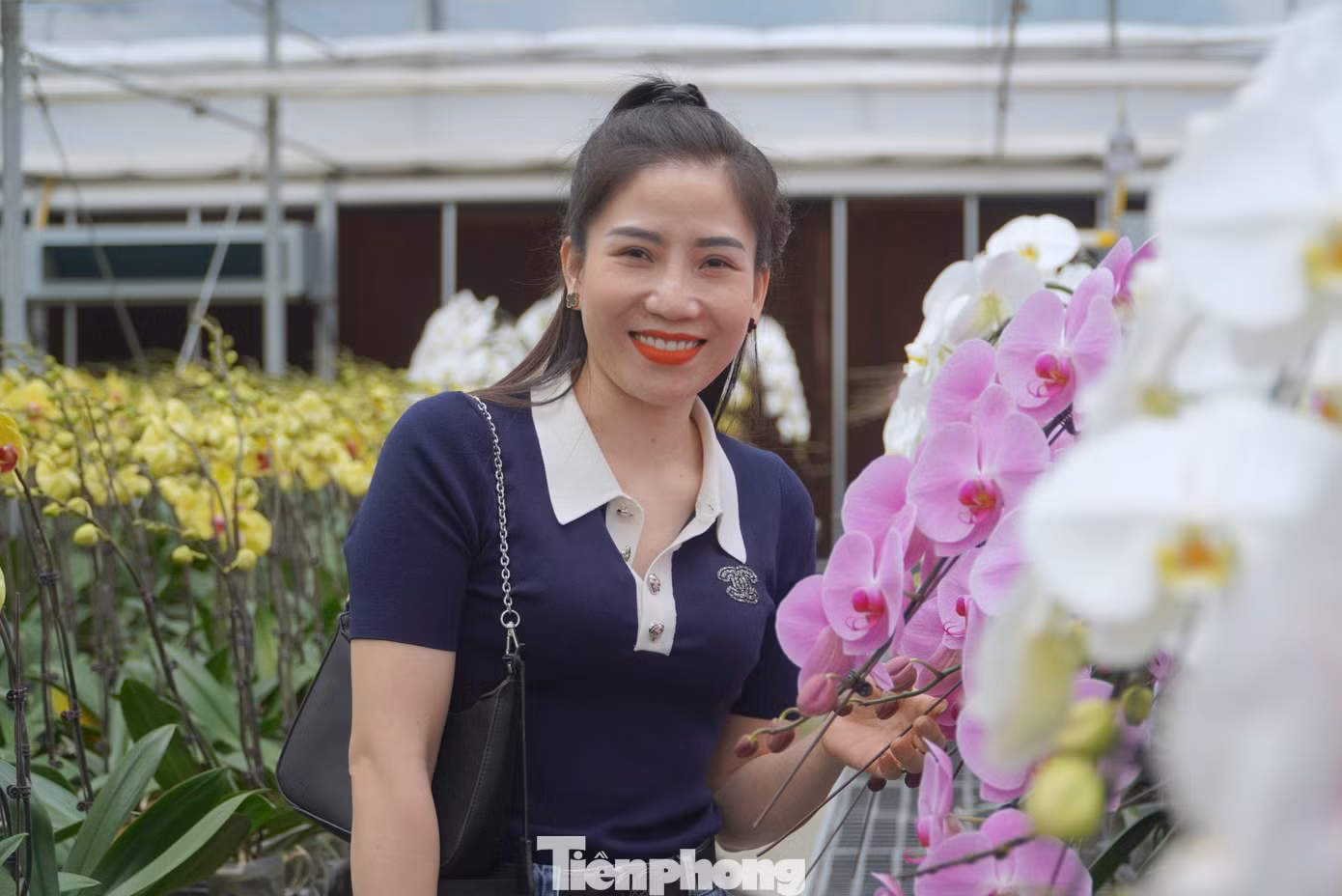 "Chỉ còn 1 tháng nữa là đến Tết Nguyên đán, tôi cùng bạn bè đến tại vườn lan để tham quan và mục đích để chọn cho mình chậu lan ưng ý về trưng tại nhà. Đến đây tận thấy nhiều loại hoa, đủ màu sắc bắt mắt nên rất thích. Tôi cũng khá bất ngờ khi vùng đất này lại trồng thành công hoa lan", một vị khách chia sẻ.