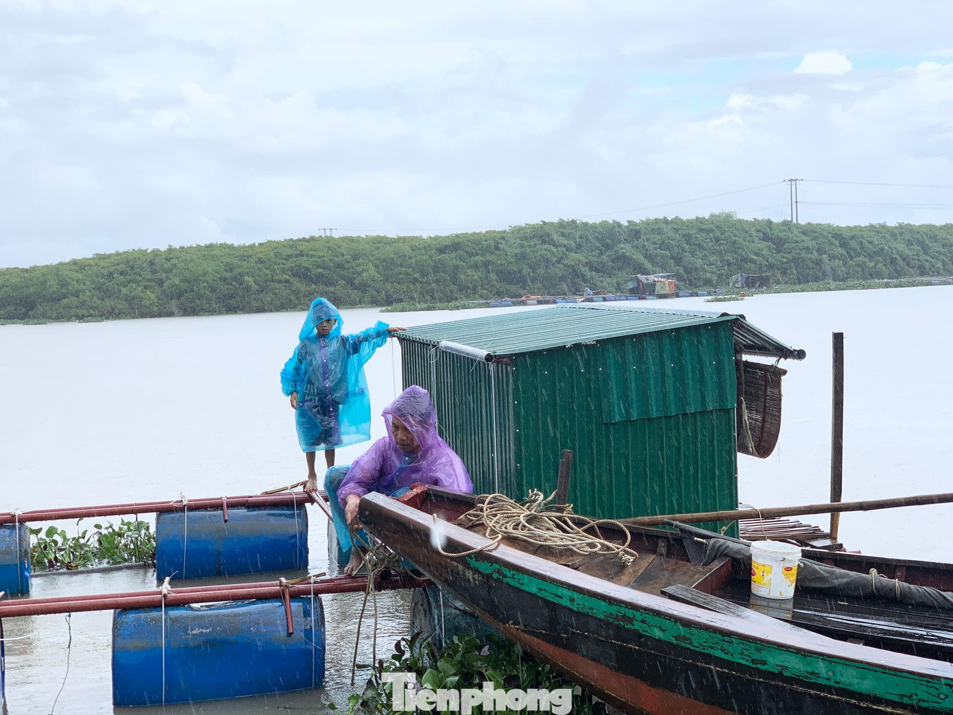 Ông Nga đang gia cố, đưa lòng bè nuôi cá vào khu vực an toàn để tránh ảnh hưởng của bão số 5.