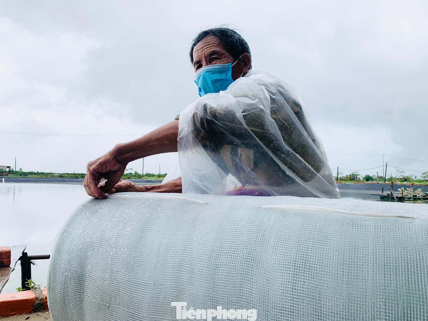 Ông Tranh mua lưới để về bao quanh, dùng cọc tre gia cố lại hồ để tránh tôm theo nước ra ngoài.