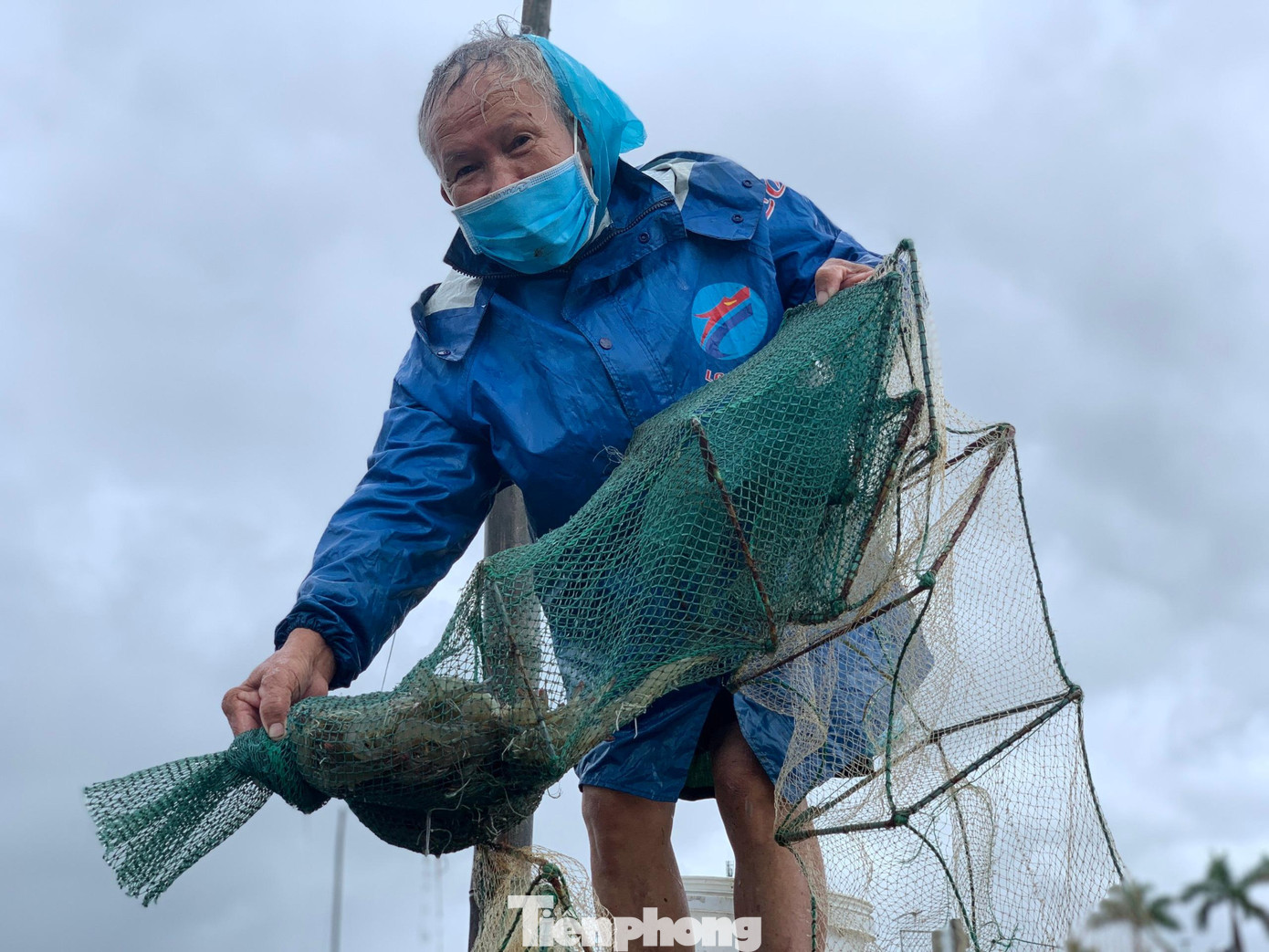 Ông Doãn thu hoạch tôm để bán chạy bão số 5.