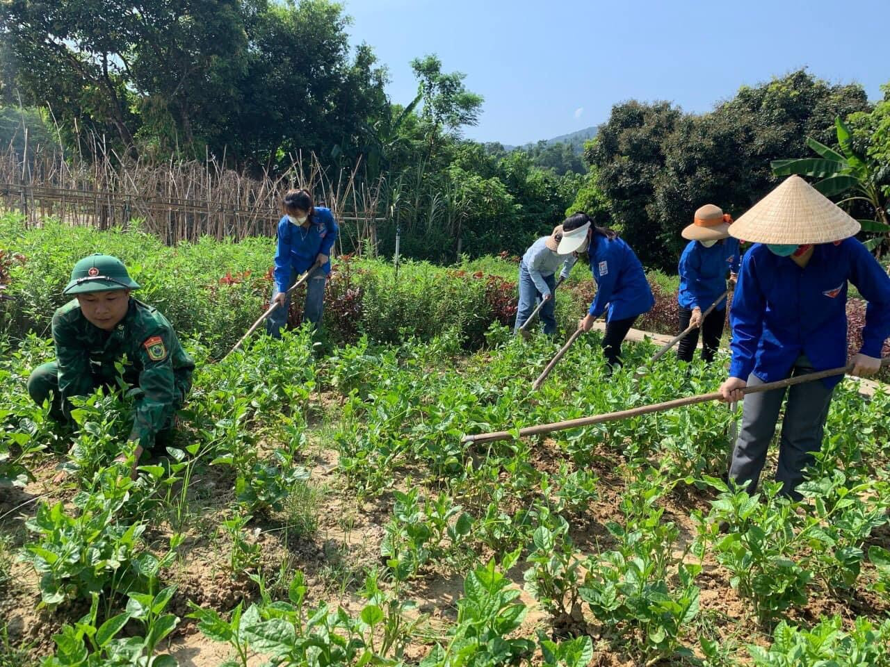 Năm nay, chiến dịch “Hành quân xanh” khai mạc vào đầu tháng 6 với các hoạt động tình nguyện “Sáng tạo, tình nguyện vì cộng đồng, vì an sinh xã hội”. Chiến dịch đang góp phần làm nên một mùa hè tình nguyện sôi nổi, ý nghĩa của tuổi trẻ Hà Tĩnh.