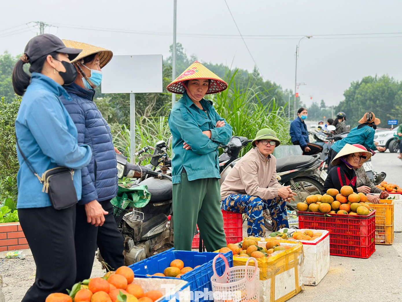Theo nhiều người dân, họ hái xong sẽ mang ra tuyến đường lớn để bán. Đây là thời điểm tiêu thụ lượng lớn cam bù nên người dân rất phấn khởi.
