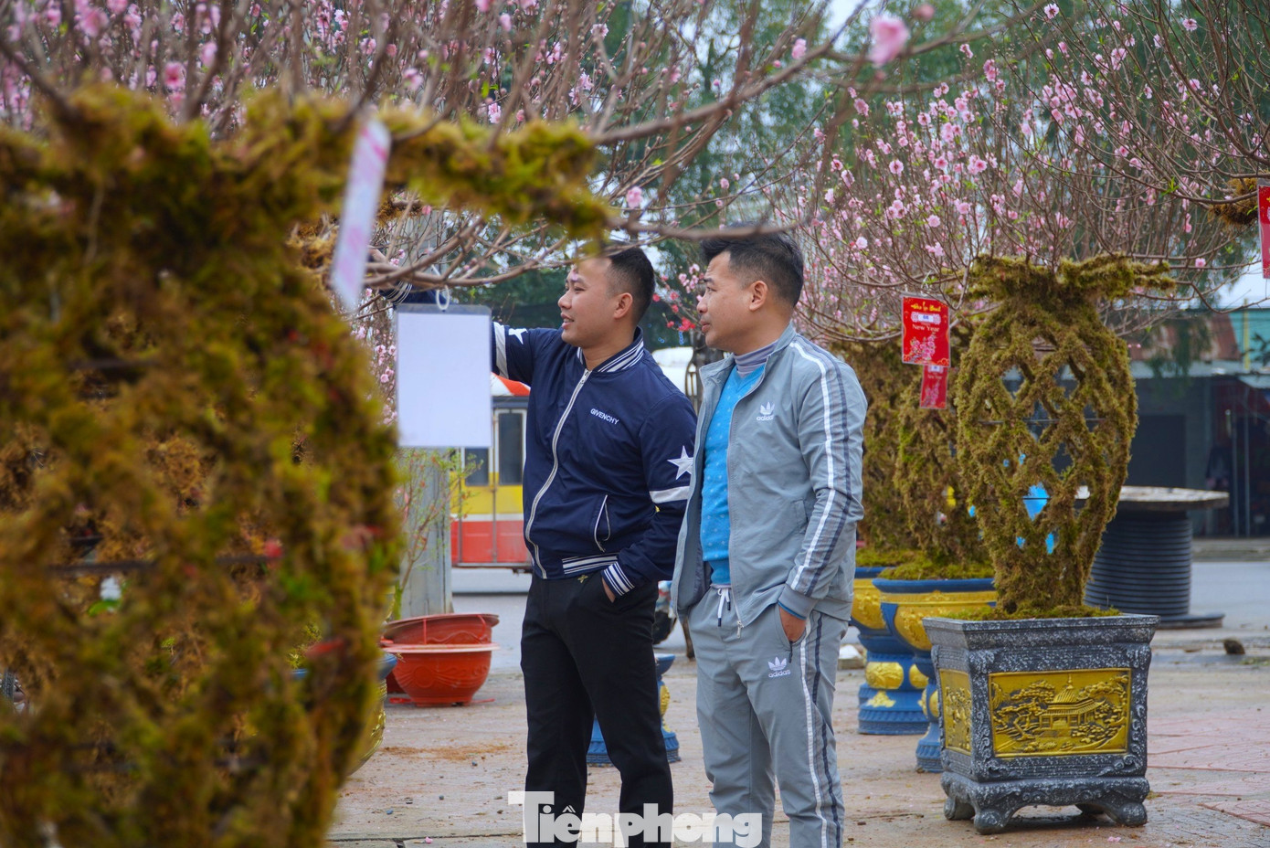 Anh Việt cho biết, năm nay anh không nhập số lượng lớn về, mà chỉ bán sản phẩm “độc lạ” để phục vụ nhu cầu người dùng trong dịp Tết.