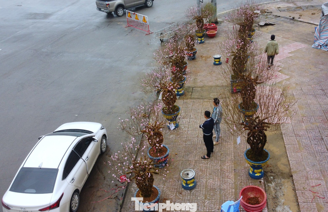 Theo tiểu thương, để uốn được thành bình mỗi thân đào phải được trồng từ 5-6 năm. Với ý nghĩa đưa lại tài lộc, vượng khí cho gia chủ, nên đào lộc bình được nhiều người tìm mua.