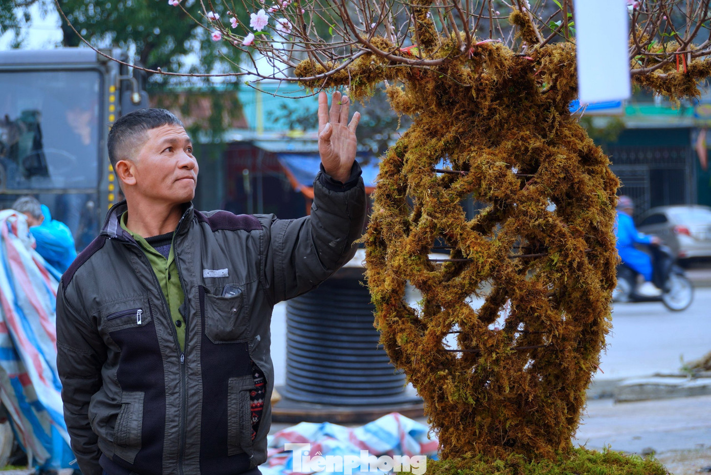 Những thế đào lộc bình đẹp mắt...