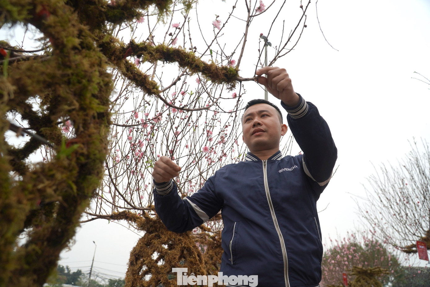 Anh Trần Đức Việt (SN 1992, trú tại xã Đồng Môn, thành phố Hà Tĩnh) là chủ nhân của những gốc đào lộc bình này. Theo anh Việt, đào lộc bình được anh đặt mua từ những thợ làm vườn ở phía Bắc.