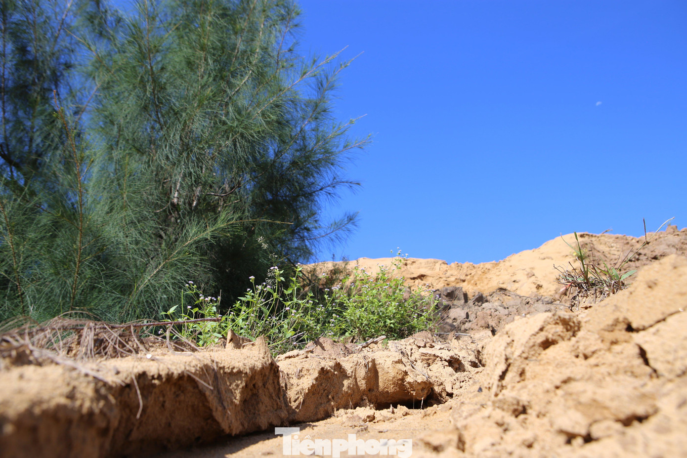 Theo thống kê từ chính quyền địa phương, từ năm 2010 đến nay thống kê đã có gần 20 ha đất trồng cây trầu không, loại cây chủ lực của người dân, gần trăm ngôi mộ bị vùi lấp. Về việc có chất độc hại trong đống bùn đất của mỏ sắt hay không thì chưa có đơn vị nào xác nhận.