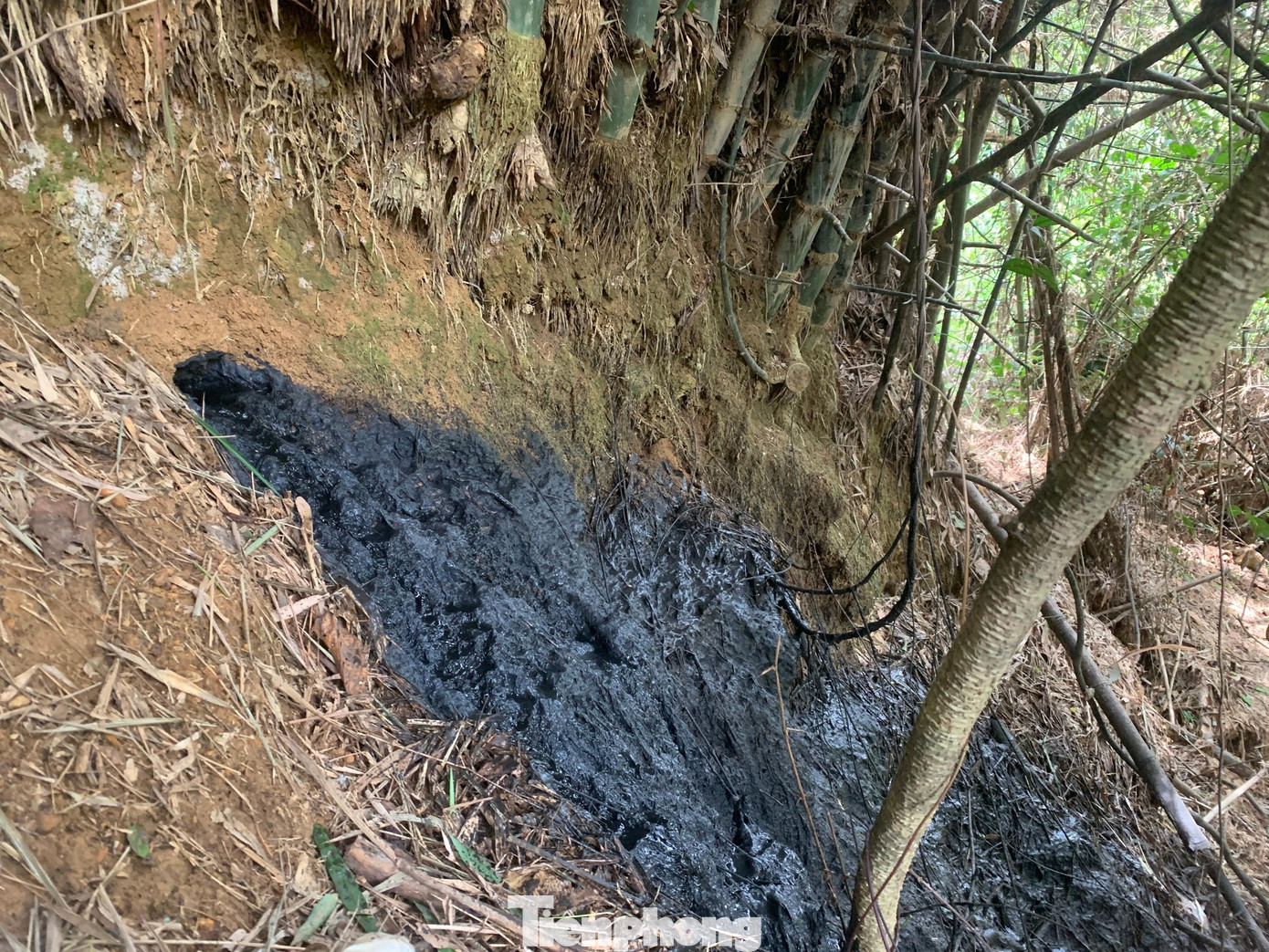 Khu vực nơi phát hiện chất thải chảy ra môi trường.