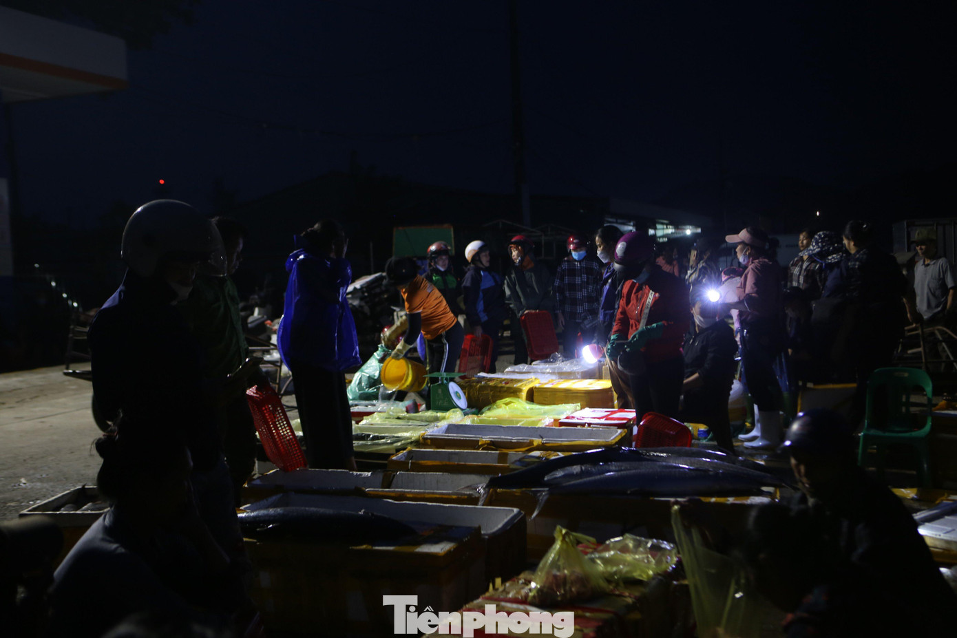 Mỗi người sử dụng đèn soi để kiểm tra, bán cá. Cá ở đây đa phần đã được cấp đông, còn số lượng đánh bắt trong ngày rất ít, chỉ có lác đác một số hộ đánh bắt gần bờ.