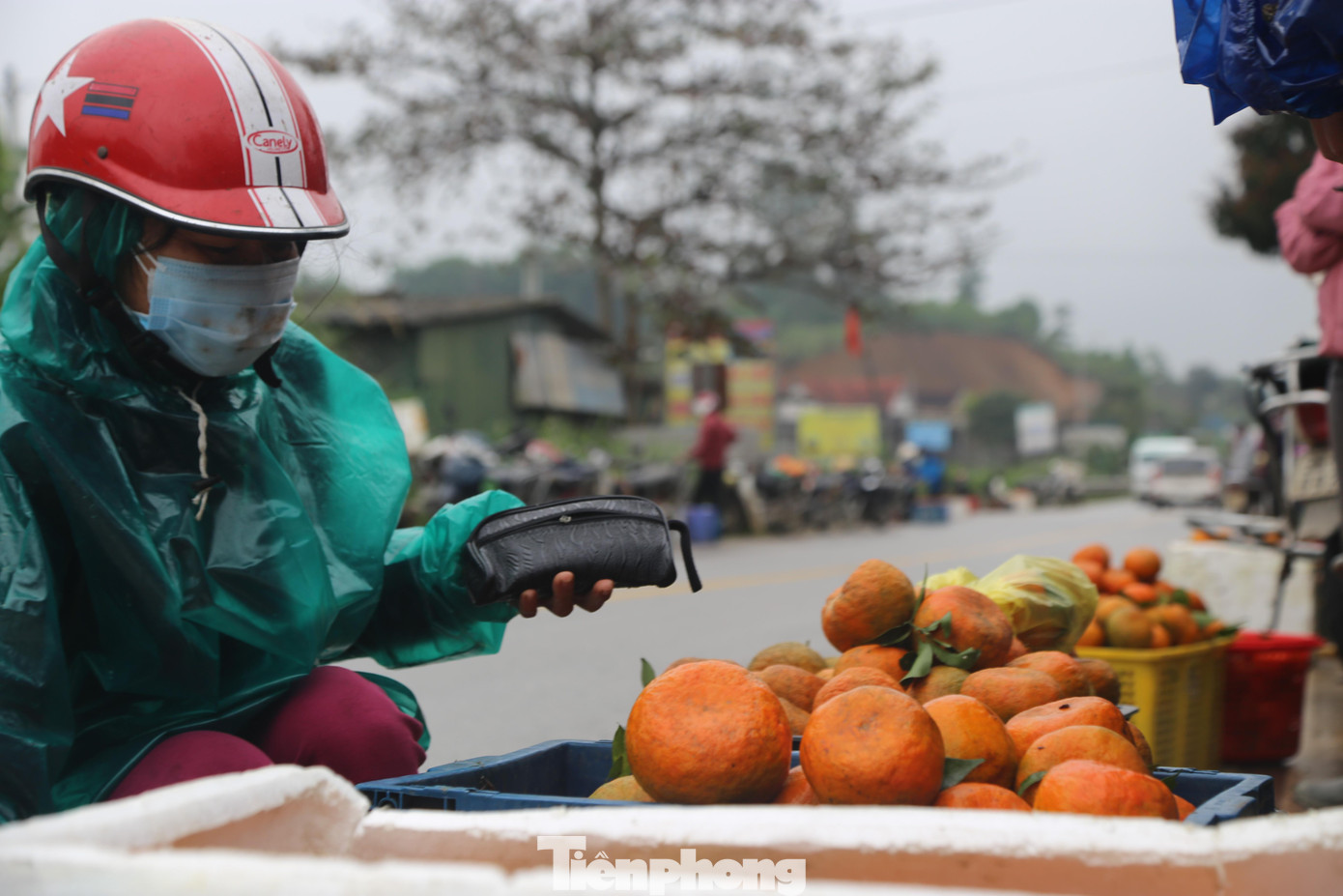 Nông dân các xã Sơn Trường, Sơn Mai, Sơn Hàm, Kim Hoa, Sơn Lâm... phấn khởi vì cam được mùa, quả đẹp, vị ngọt hơn các năm trước. Cam chín đậm vào đúng vụ Tết nên lượng tiêu thụ và giá cả cũng cao.